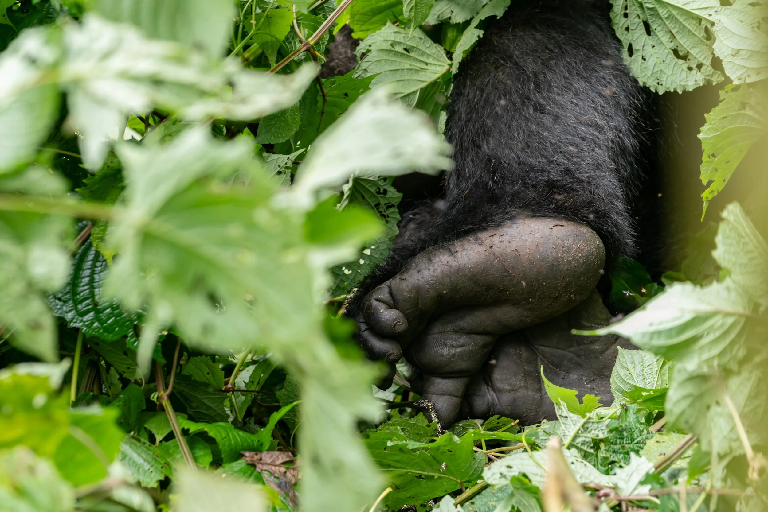 James Parren-09369-2.JPG