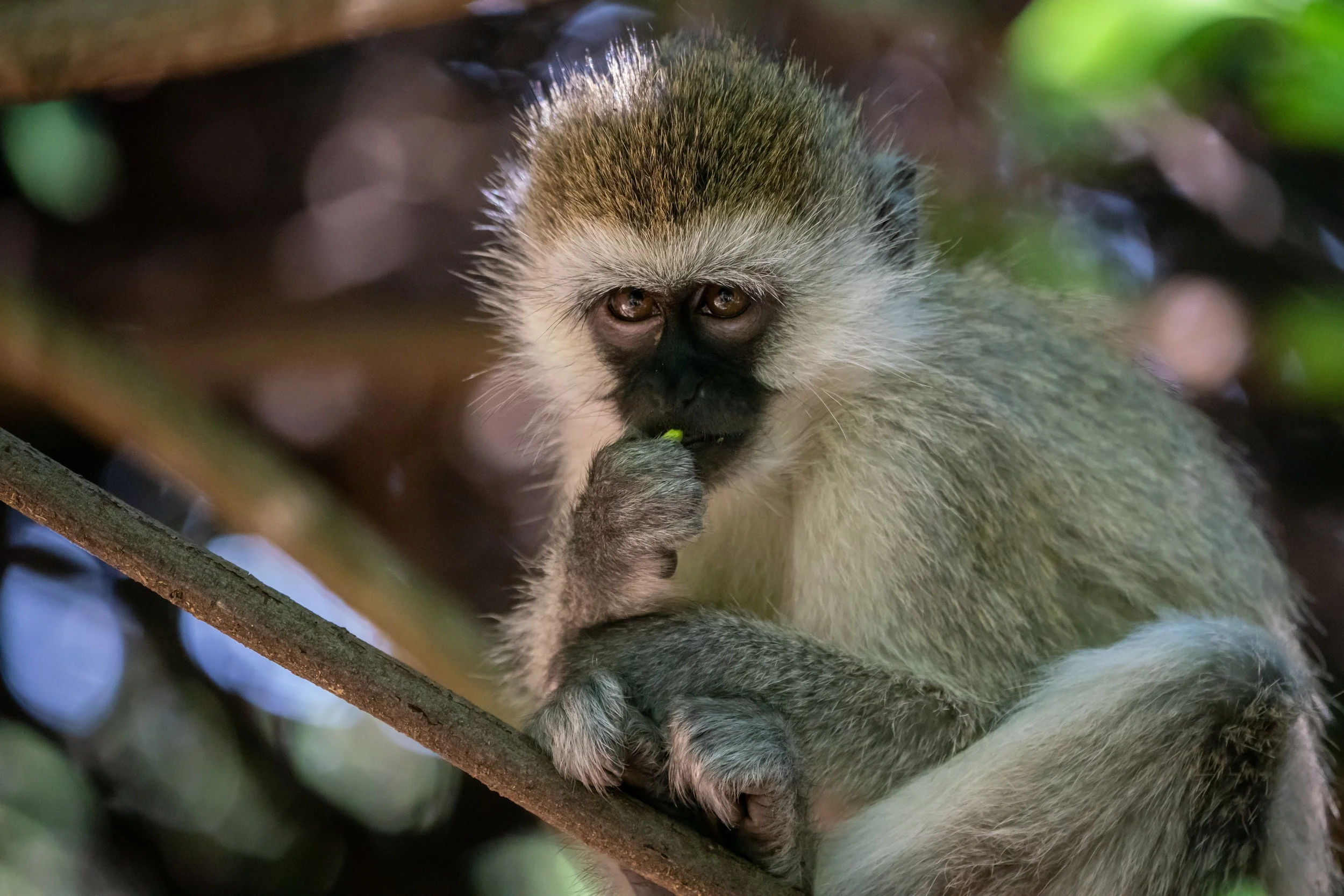 James Parren-08766-2.JPG