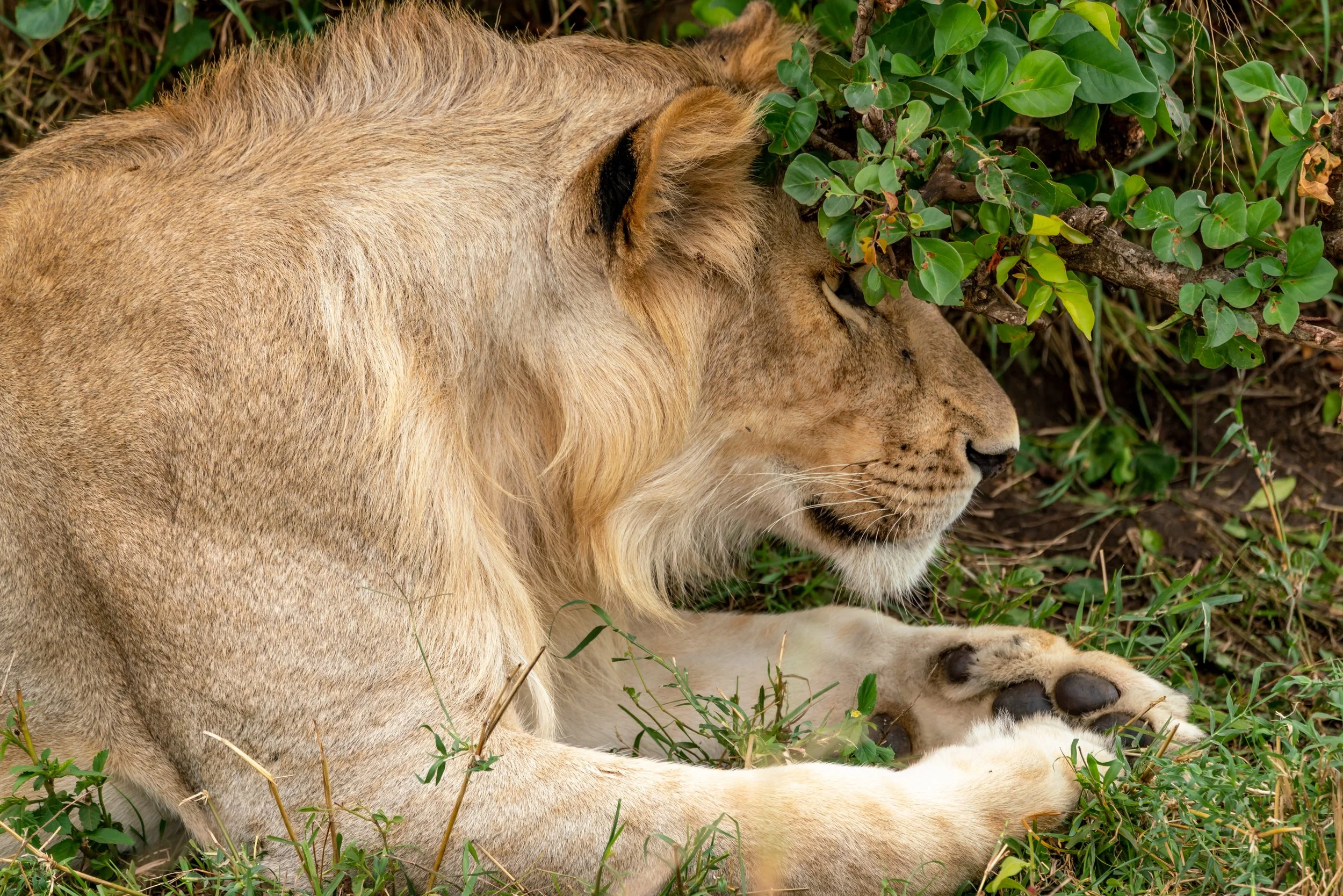 James Parren-08432-2.JPG