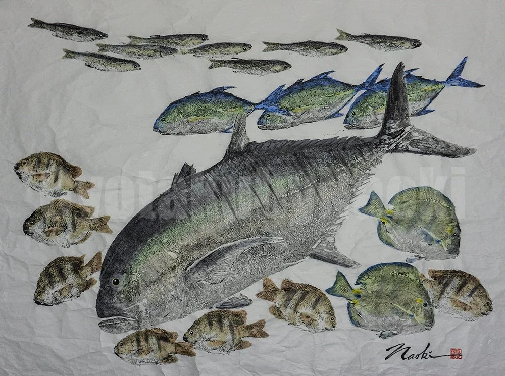 Ulua_on_the_reef_37x47wPyramidRockGathering.jpg
