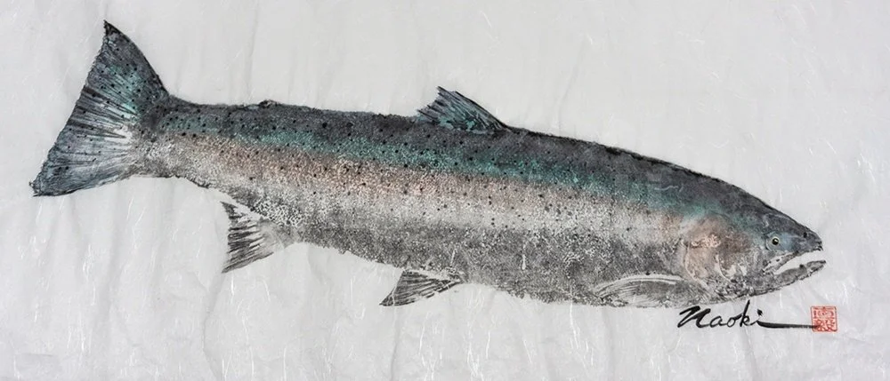 10_RainbowTrout_15x37wCanadianSteelhead.jpg