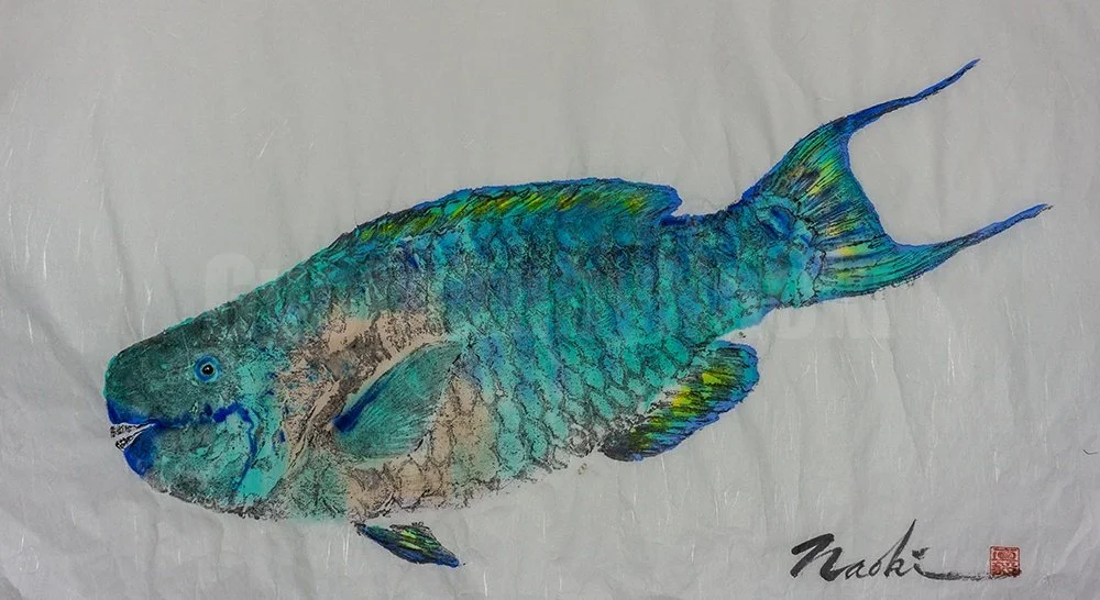 24_Uhu_19x33WhiotailParrotFish.jpg