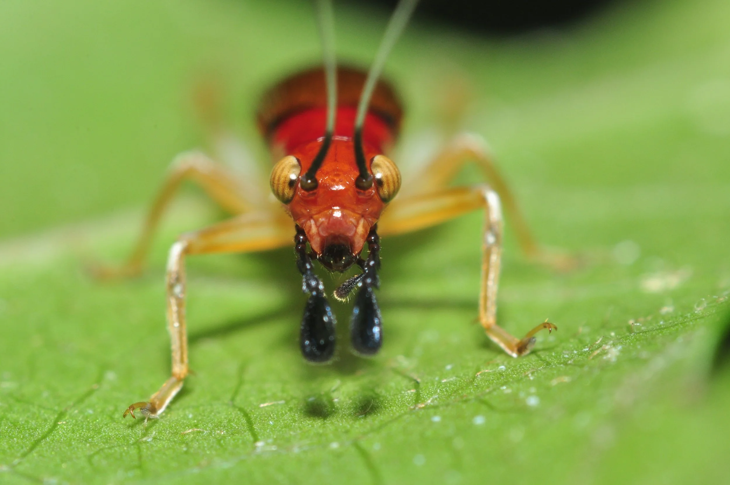 Photography Images for Video Display 033.JPG