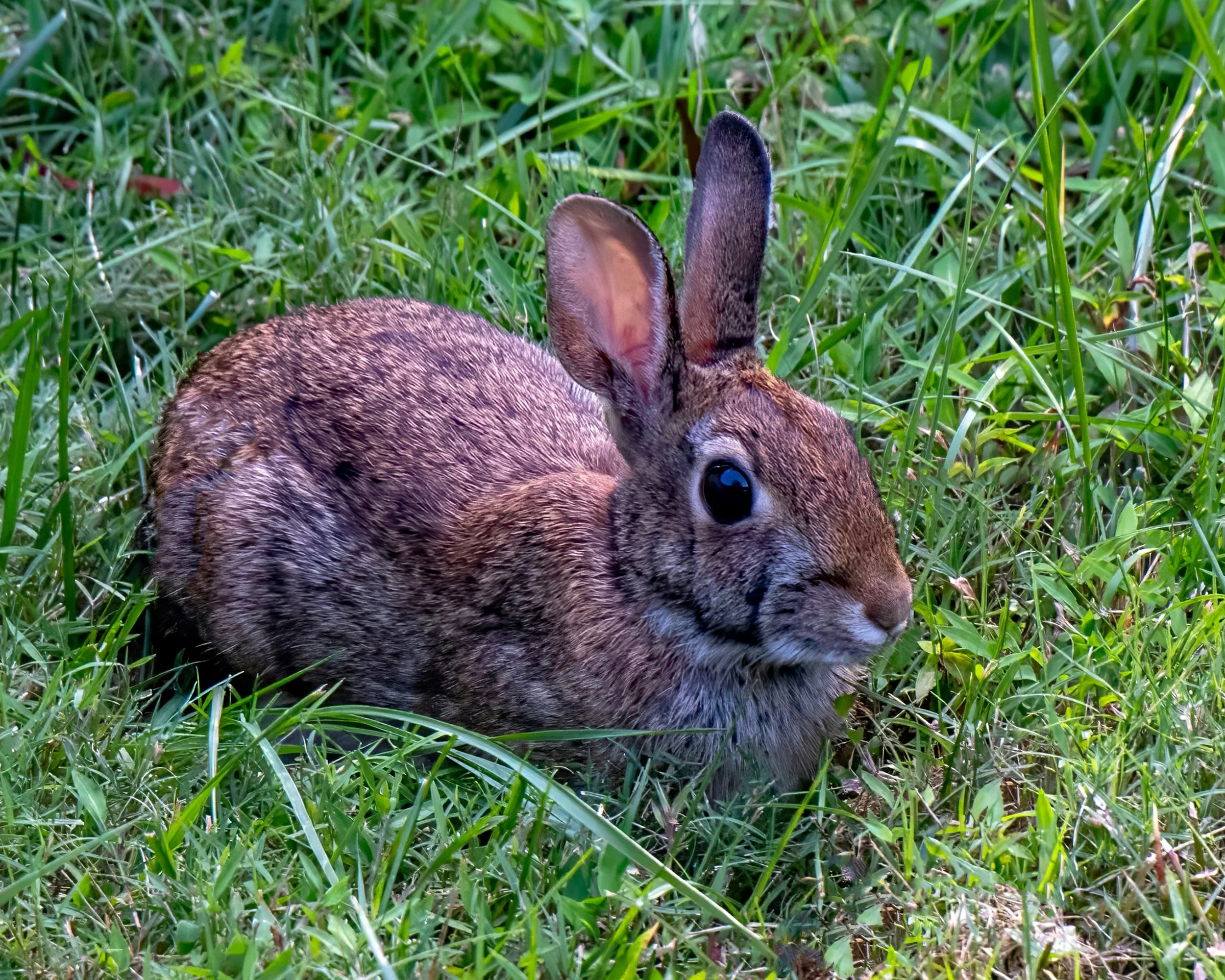 DSC_8773ed1-topaz-denoise-texted2.jpg