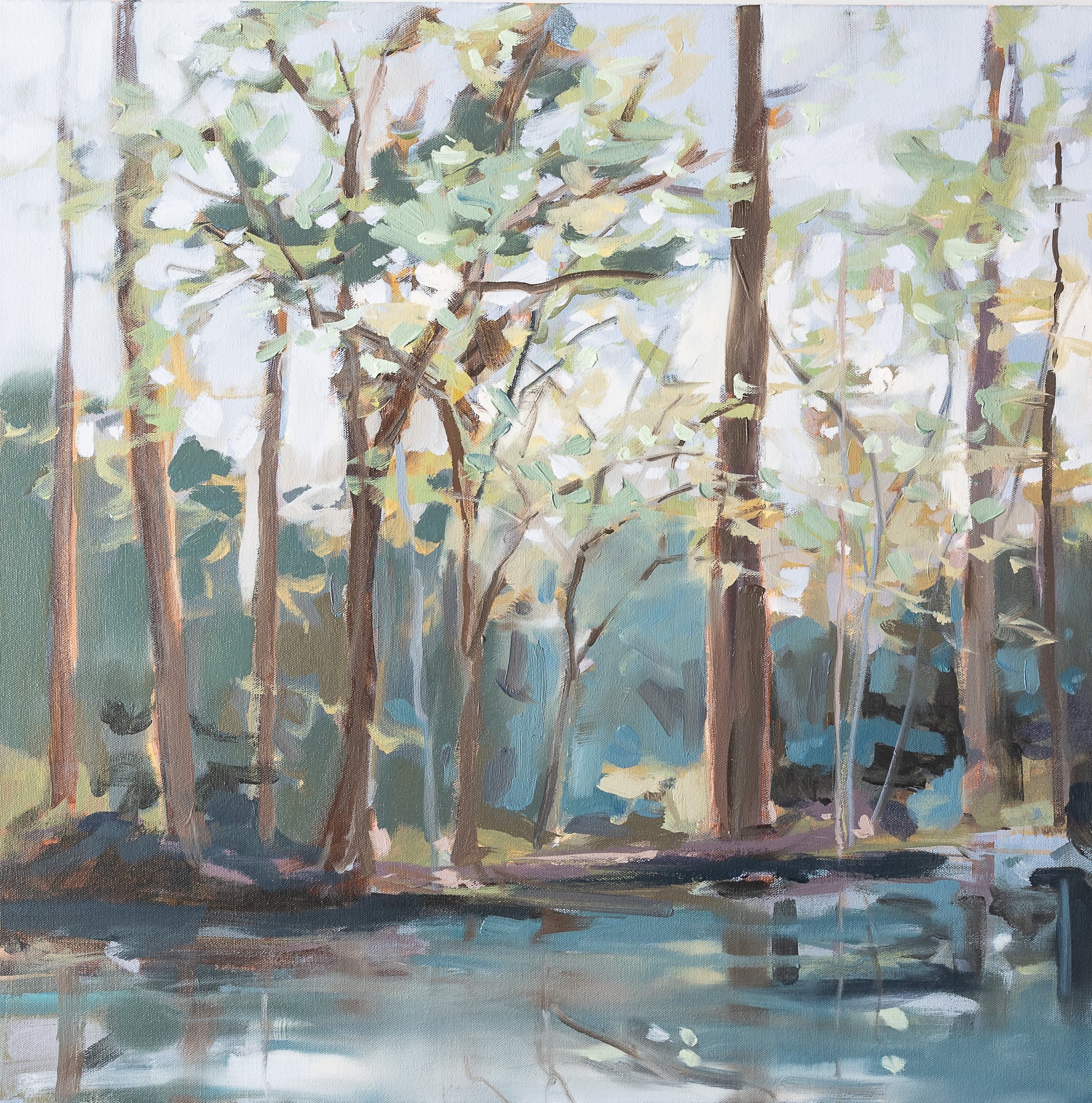 C Trunnell Homepage Banner.jpg