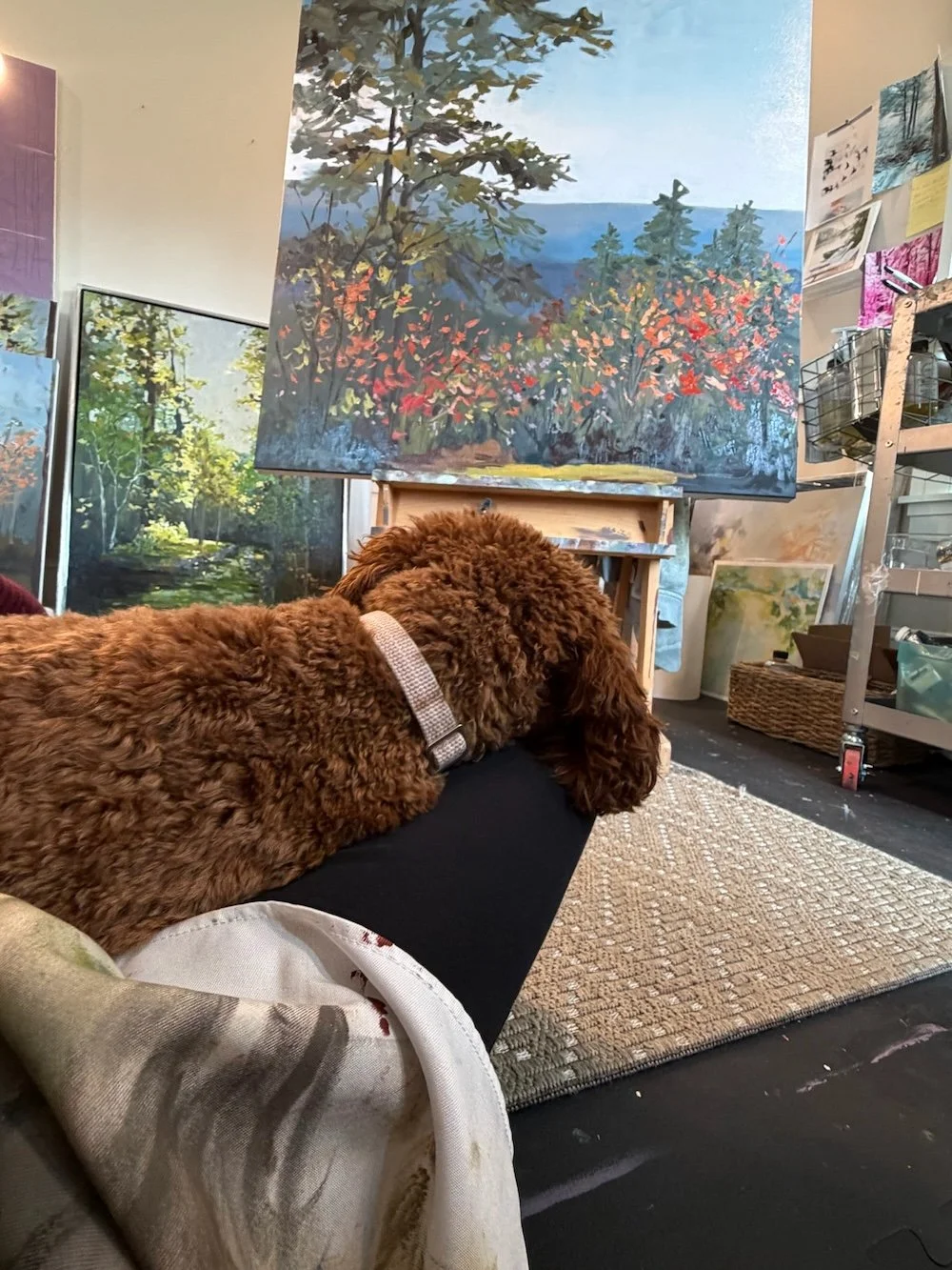 Dog resting on the artist’s lap in a studio, with a work-in-progress landscape painting on an easel surrounded by sketches and paintings.