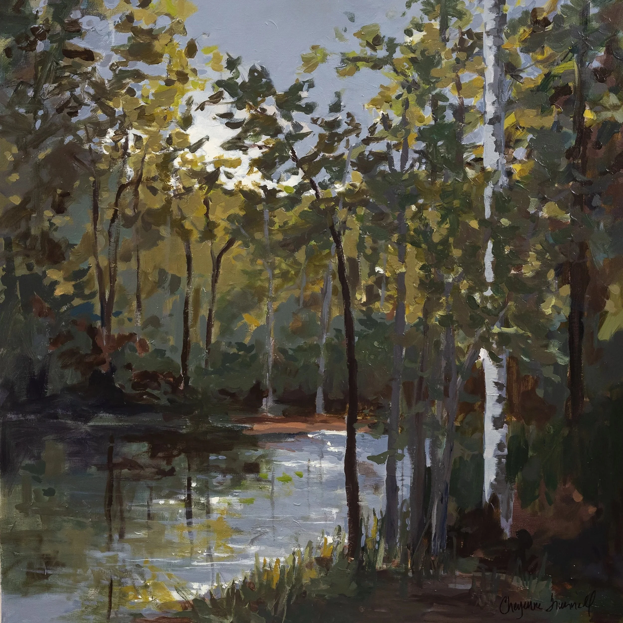 Light Upon the Water by Cheyenne Trunnell, a woodland landscape painting with golden-green foliage, slender trees, and sunlight reflecting on a quiet stream.