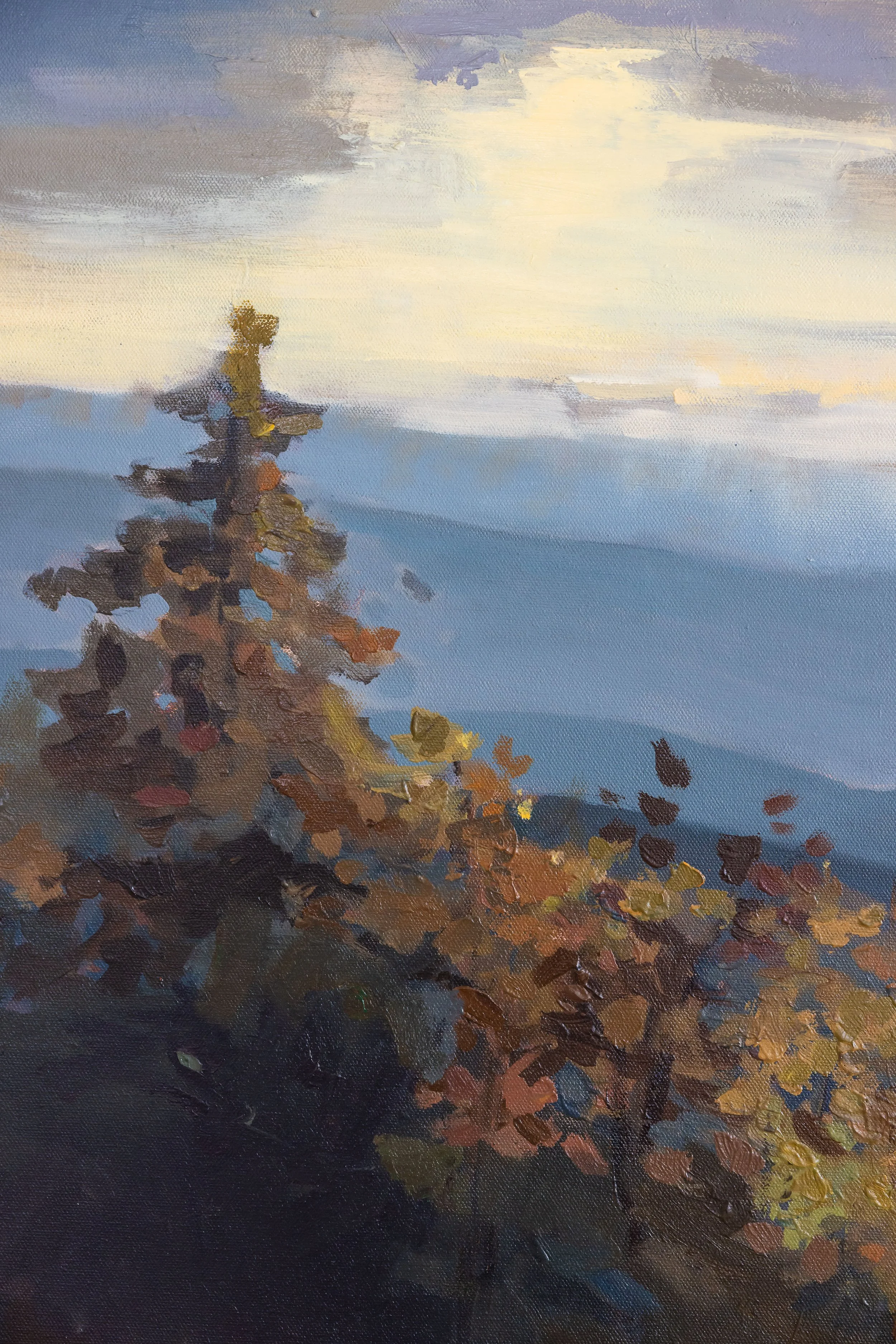 Detail of Where the Light Remains showing an evergreen tree, layered Blue Ridge mountain ridgelines, and soft light breaking through the sky.