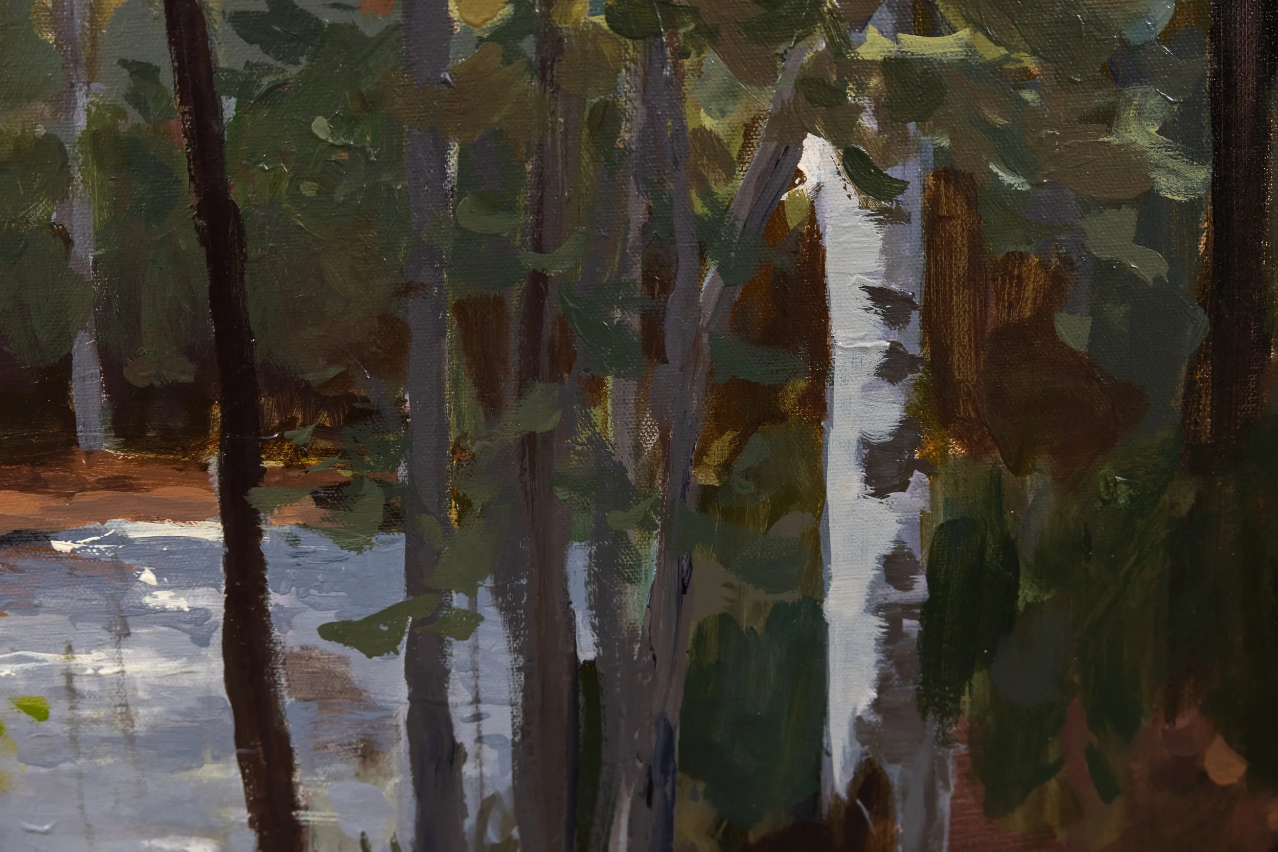 Detail of Light Upon the Water by Cheyenne Trunnell, featuring slender tree trunks, deep green foliage, and expressive brushwork along the shaded shoreline.