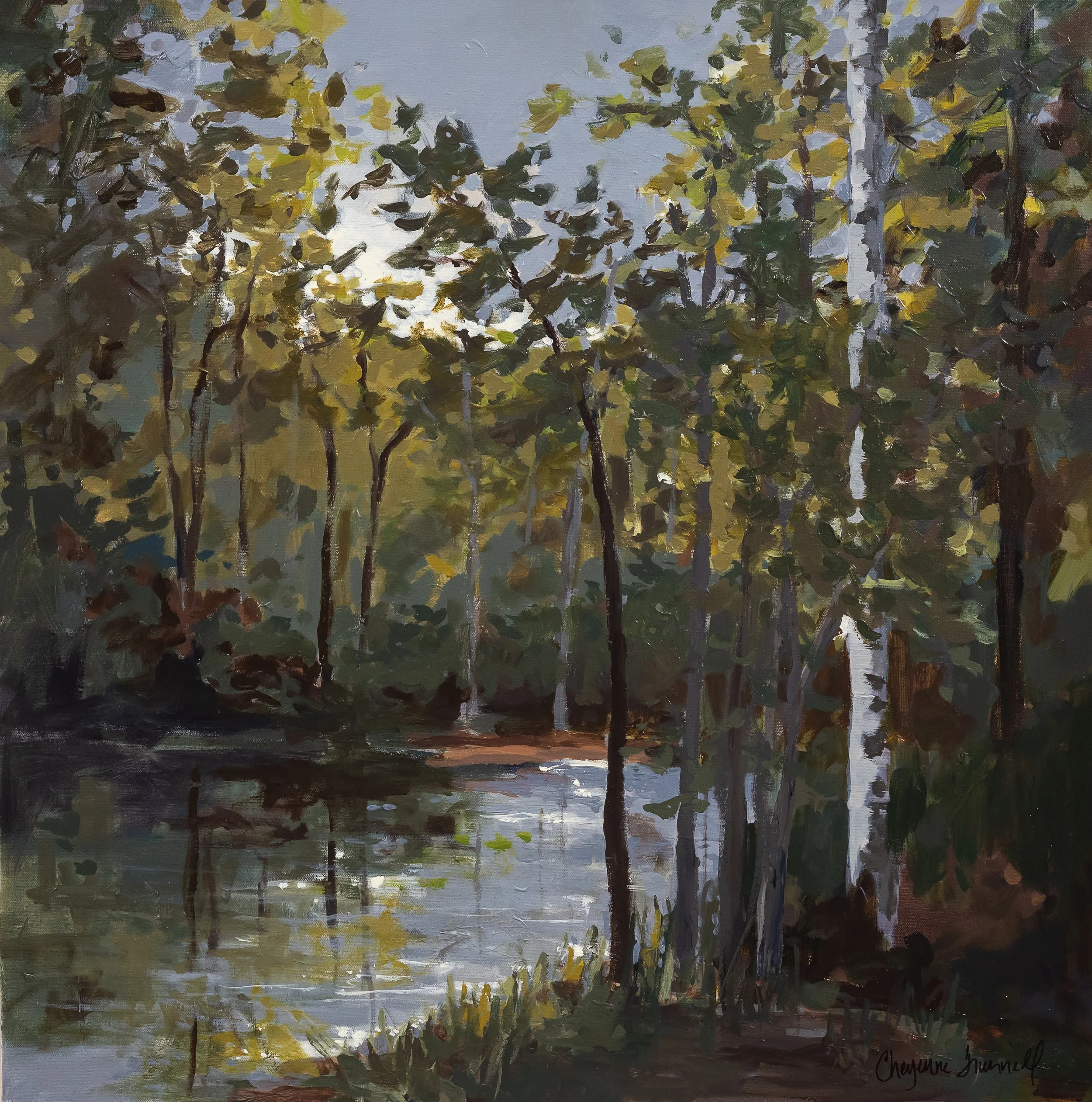 Light Upon the Water by Cheyenne Trunnell, a 30×30 acrylic landscape painting of a wooded pond with layered green trees and soft reflected light.