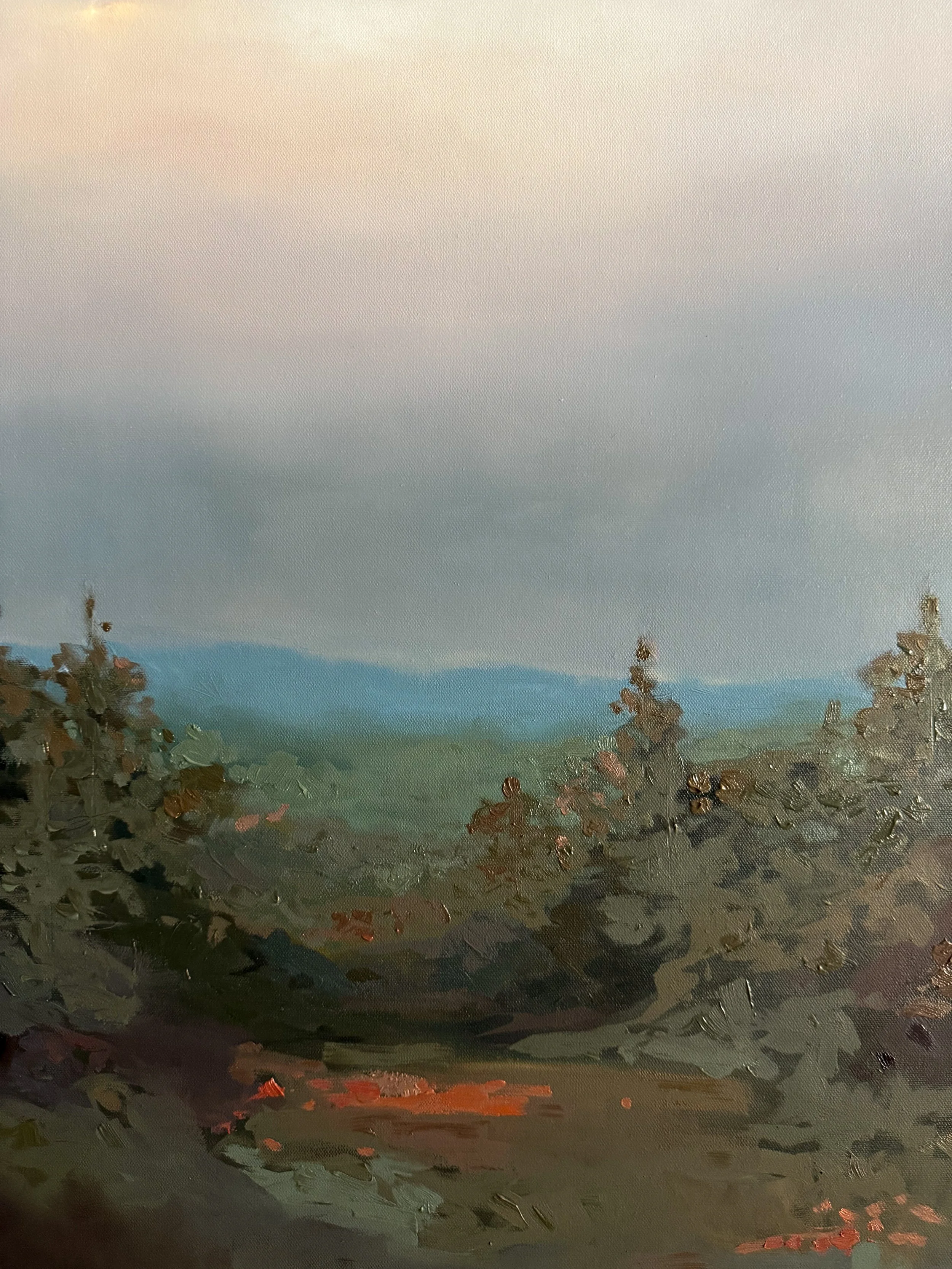 “Original oil landscape painting by Asheville artist Cheyenne Trunnell depicting the up close details of dusk settling over the North Carolina mountains, framed, 40x40 inches.