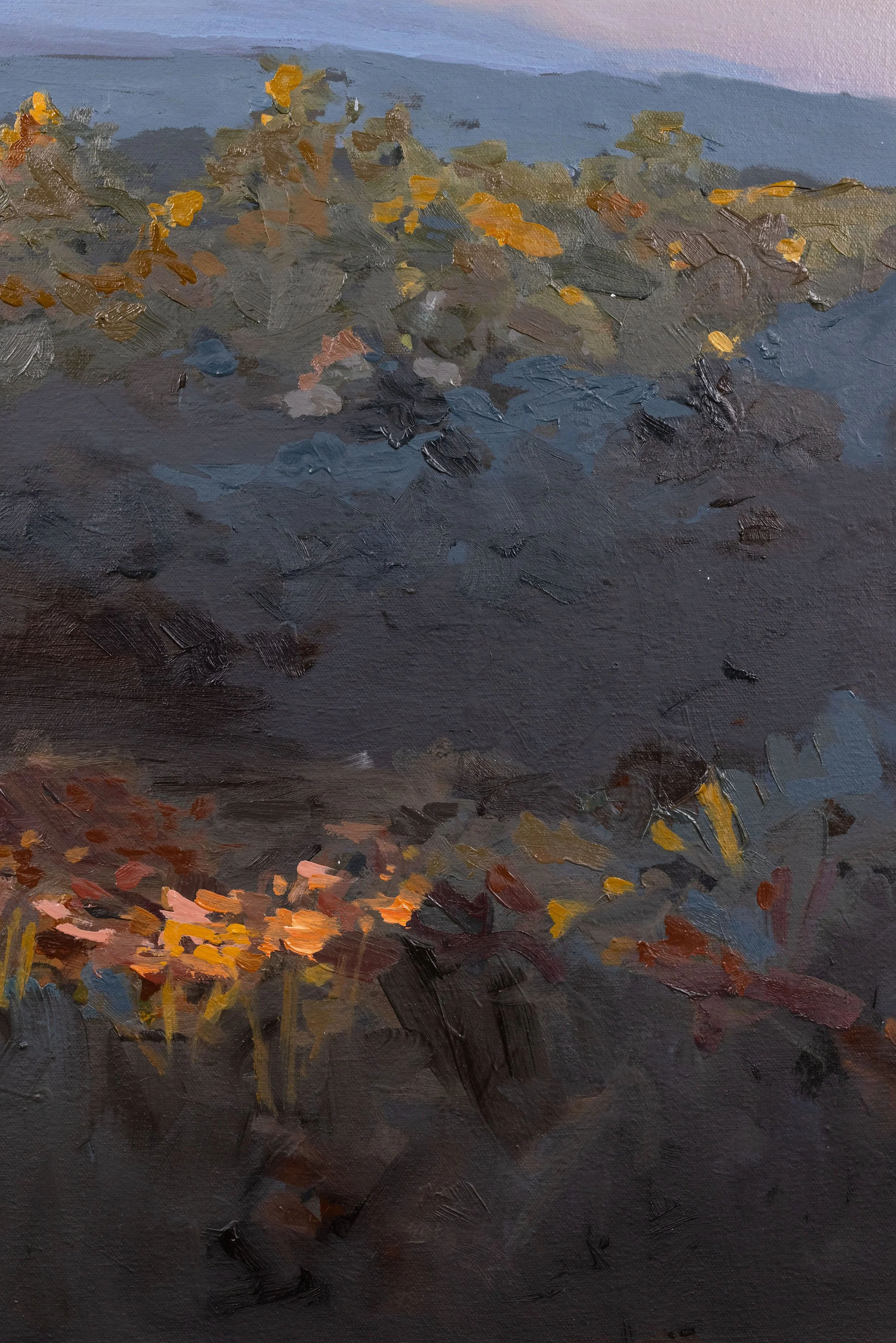 Original oil landscape painting by Asheville artist Cheyenne Trunnell depicting up close details of dusk over the layered North Carolina mountains with a golden autumn meadow, 30x40 inches.