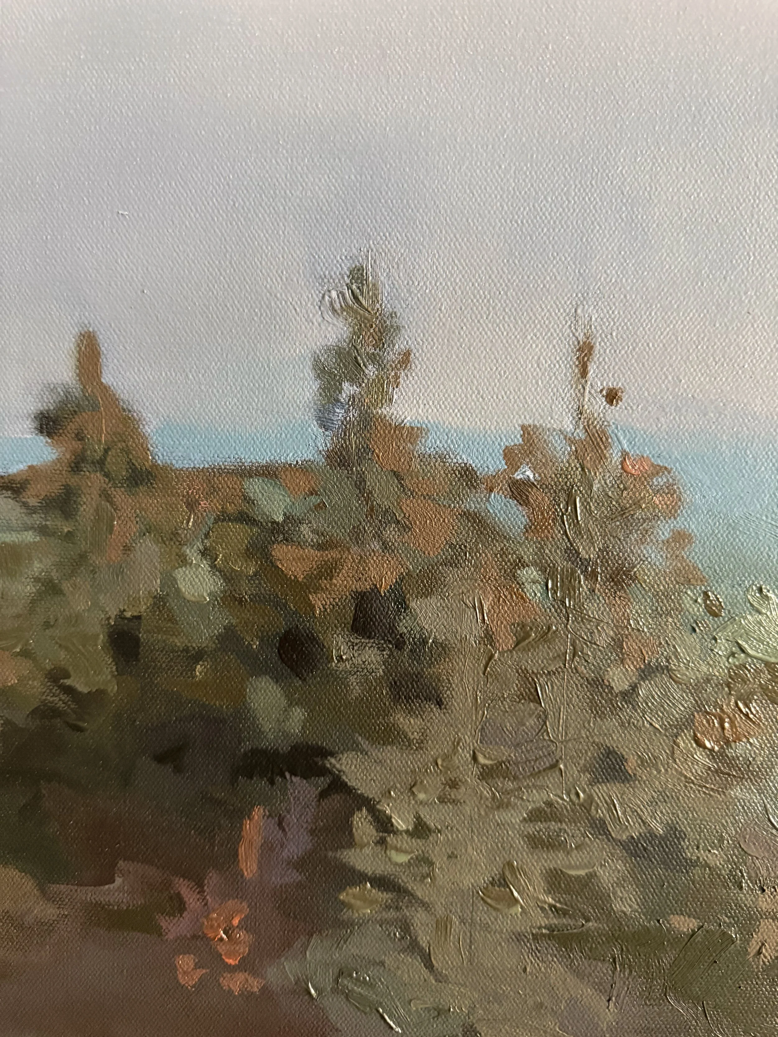 Original oil landscape painting by Asheville artist Cheyenne Trunnell depicting the up close details of dusk settling over the North Carolina mountains, framed, 40x40 inches.