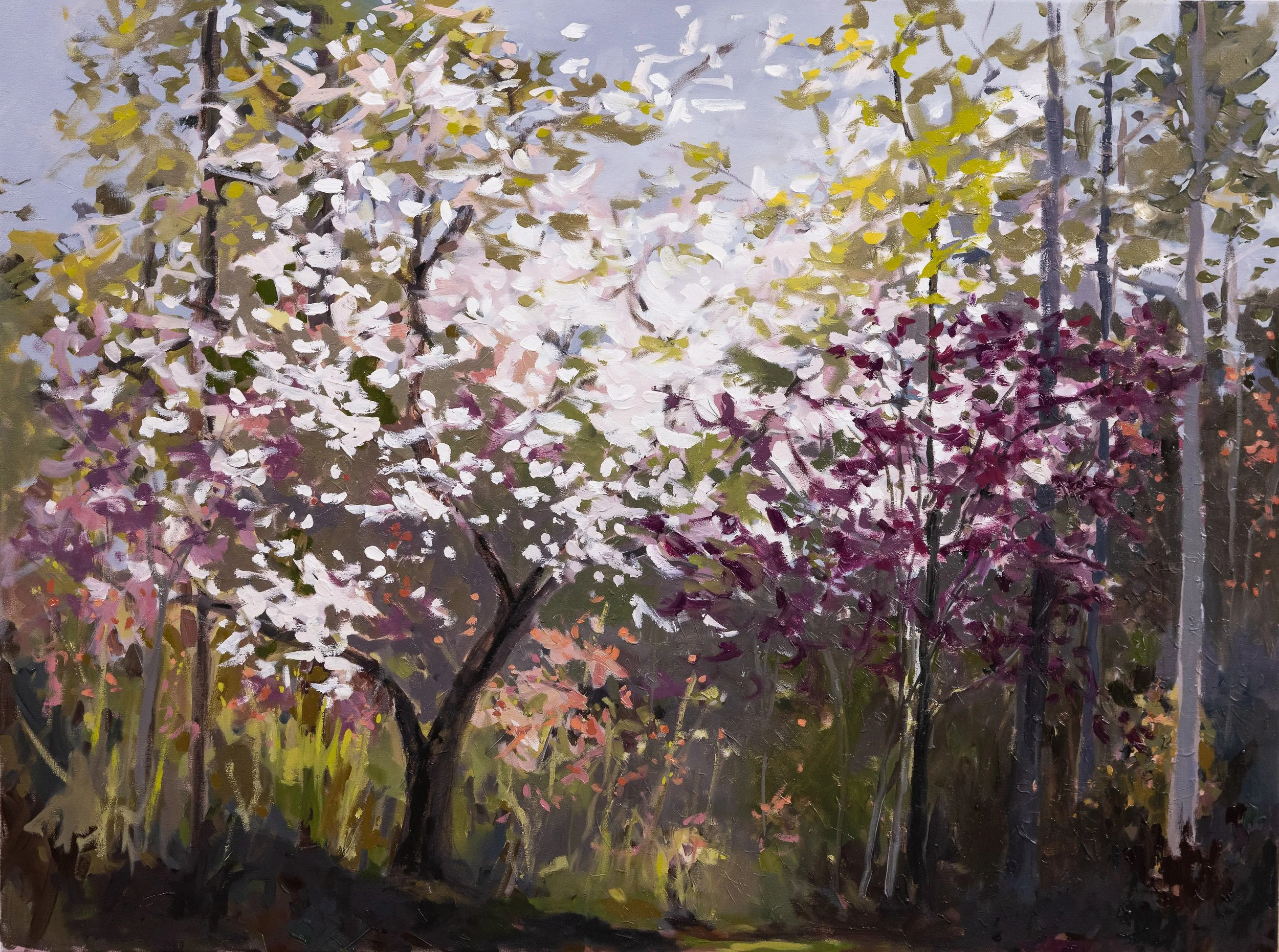 Original oil landscape painting by Asheville artist Cheyenne Trunnell showing blooming spring trees and soft, luminous light, expressing renewal and hope, unframed, 36x48 inches.