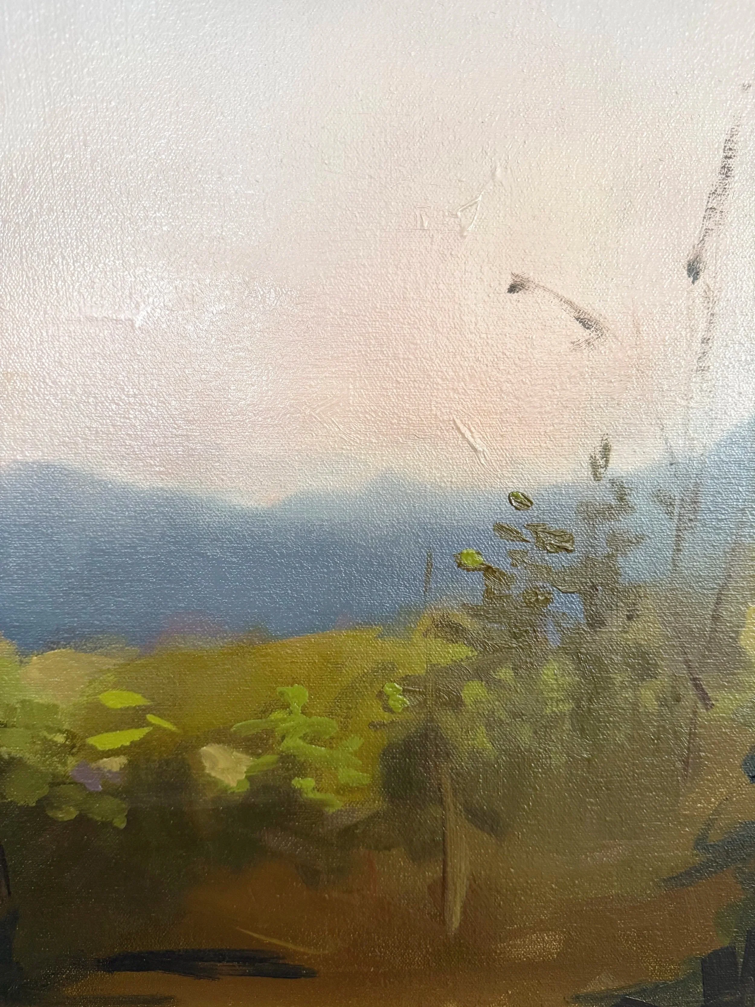 Close-up of soft pink-gray sky and subtle gradients in ‘Revealing Light II’ by Cheyenne Trunnell