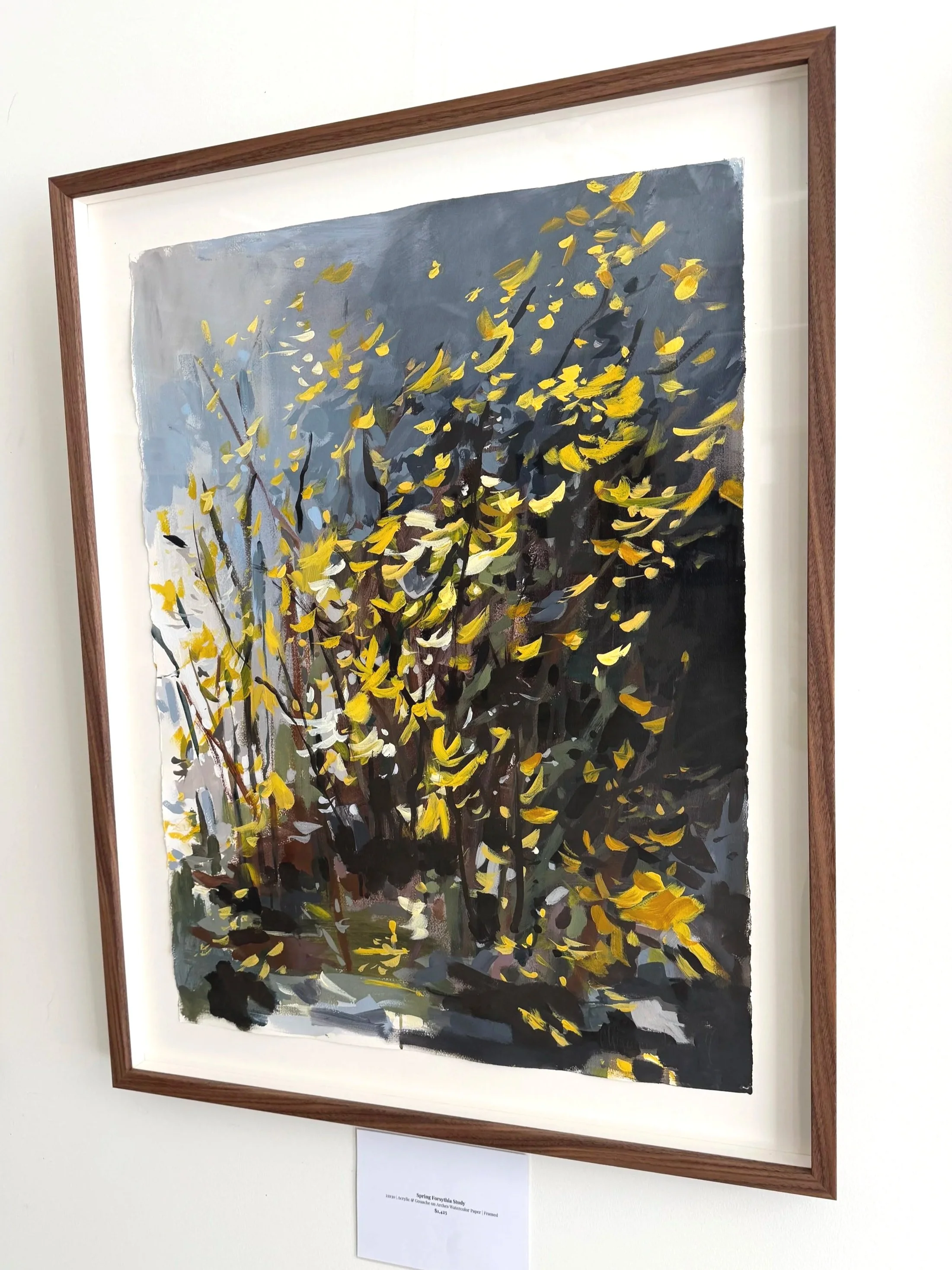 Acrylic painting of golden forsythia blossoms by Asheville artist Cheyenne Trunnell, framed in walnut and displayed on a gallery wall, 22×30 inches.