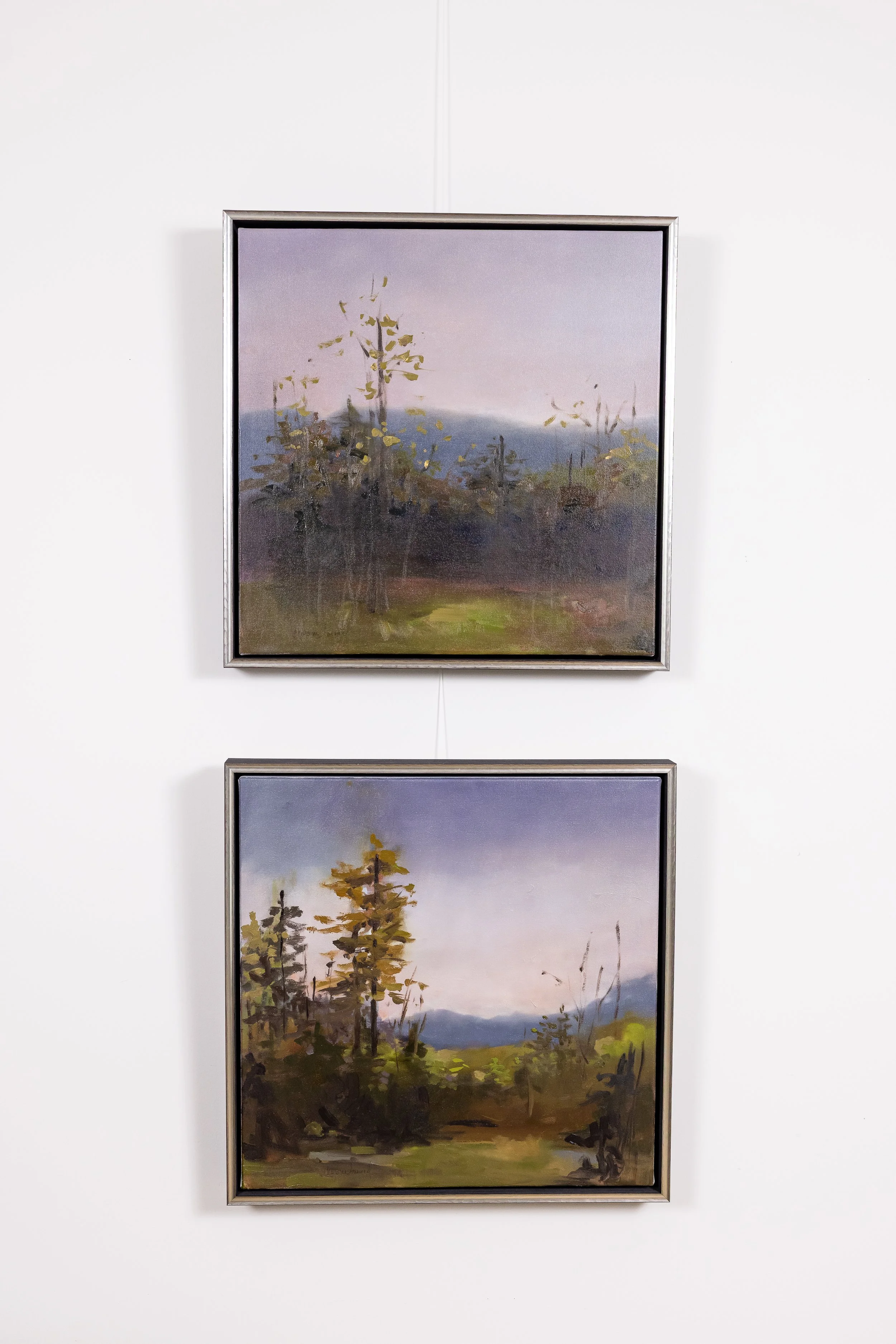 Two framed views of Revealing Light I by Cheyenne Trunnell displayed on a white gallery wall, featuring golden trees and soft mountain landscapes.