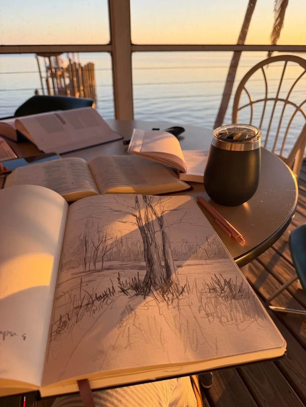 Open sketchbook with a pencil tree drawing on a table by the water, photographed in warm morning light alongside books and a coffee cup.