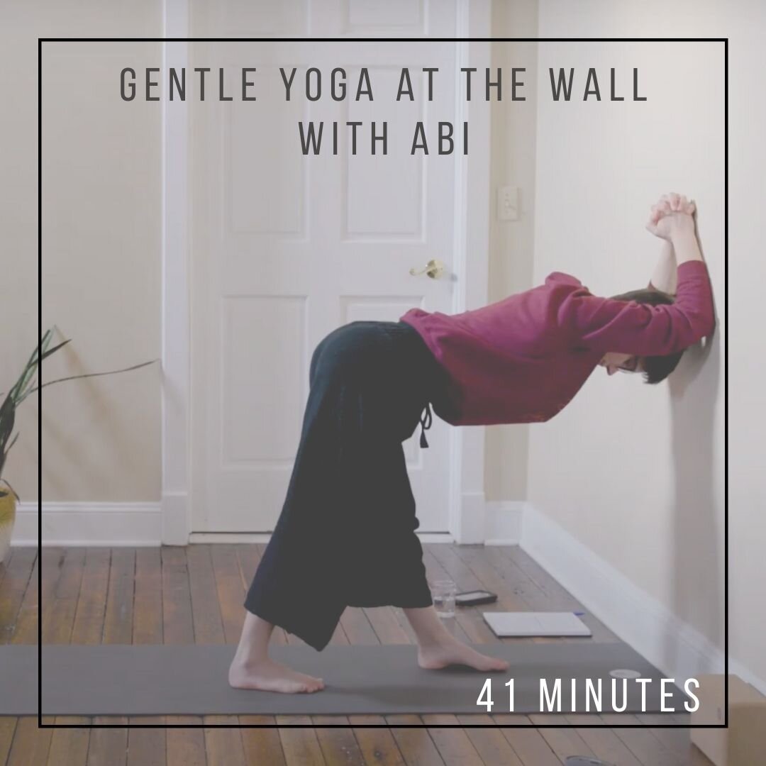Gentle Yoga at the Wall with Abi — Soulside Healing Arts