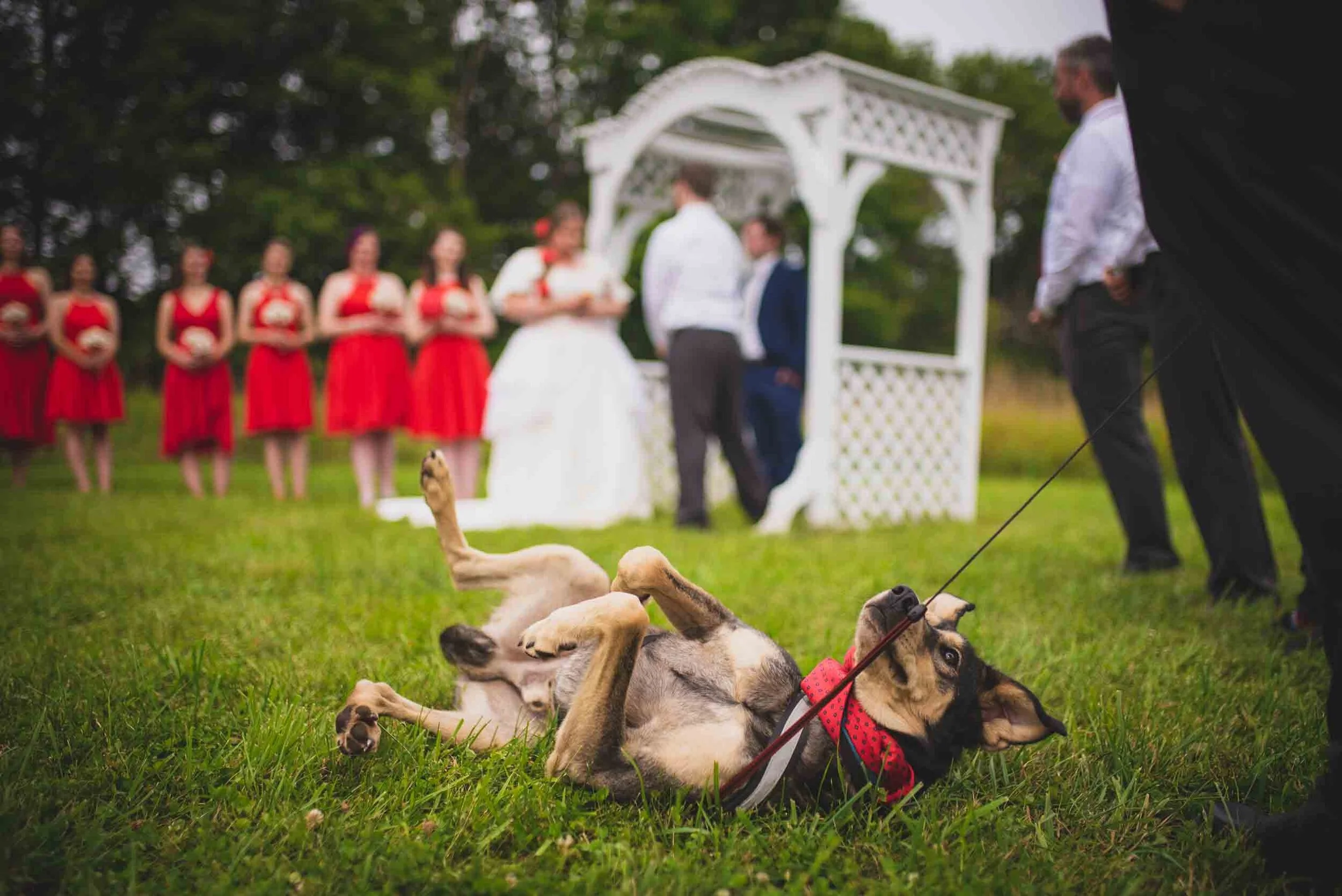 Kevin-Pam-Wedding-Previews-51.jpg