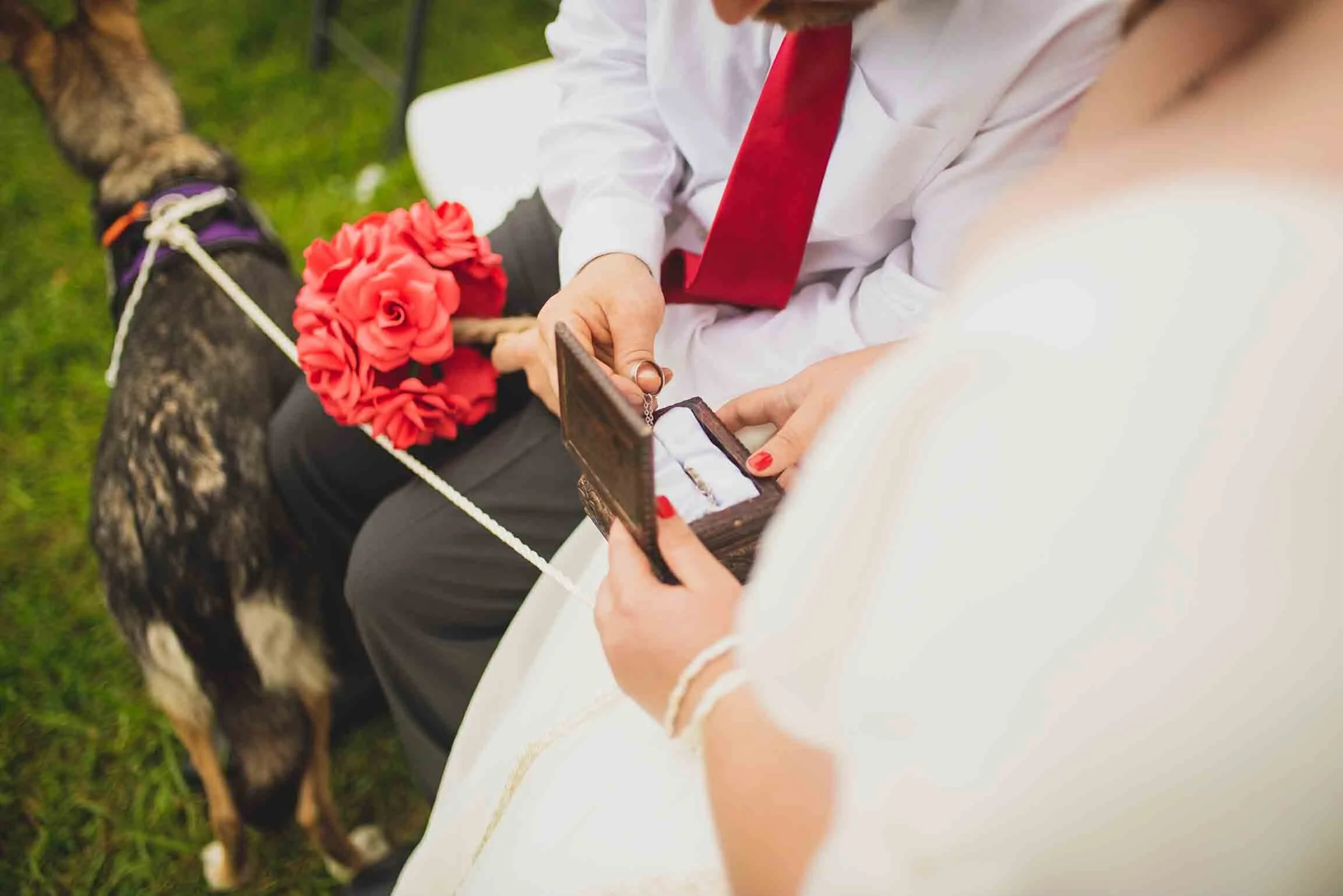 Kevin-Pam-Wedding-Previews-65.jpg