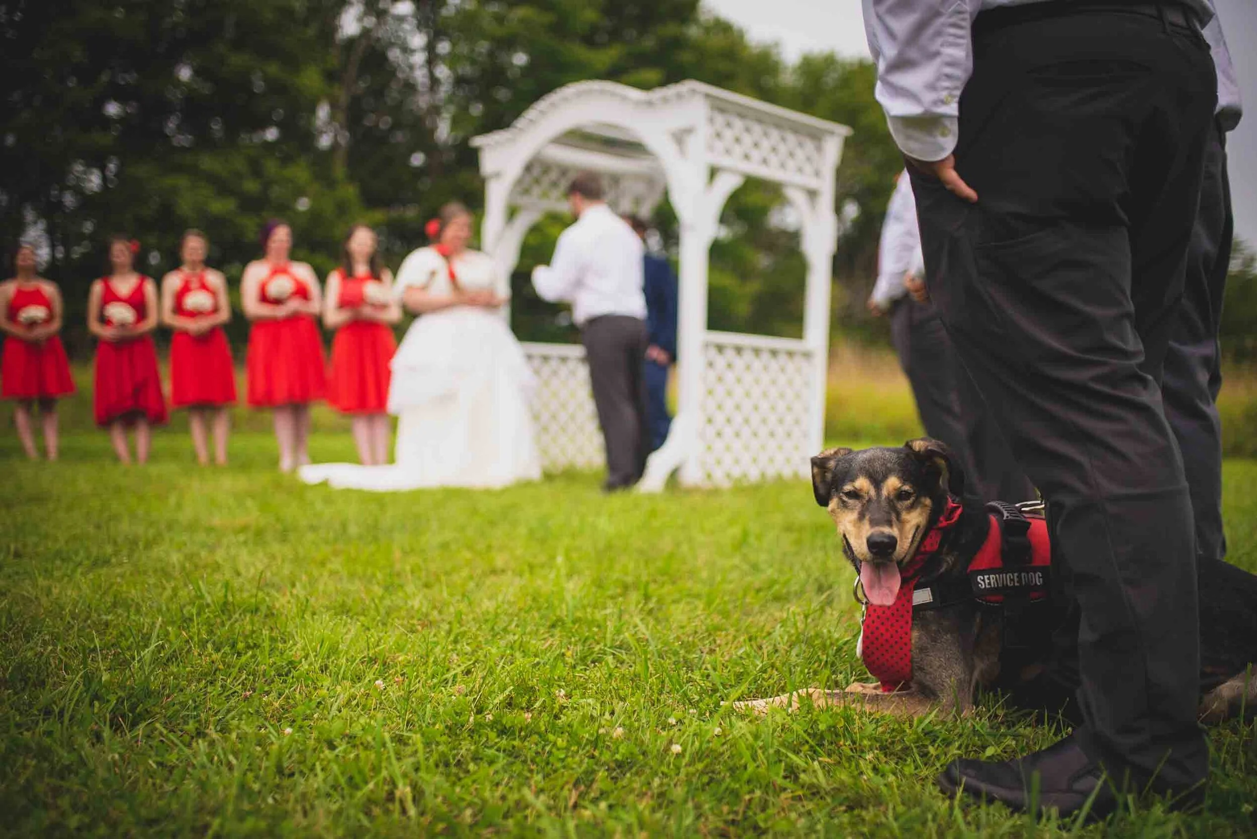 Kevin-Pam-Wedding-Previews-46.jpg