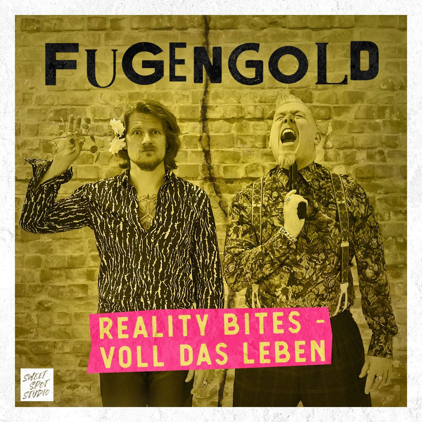 Reality Bites - Voll das Leben