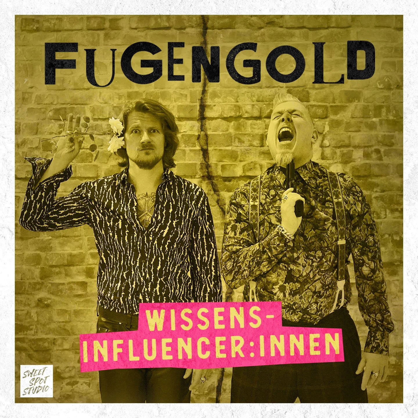 Wissensinfluencer:innen