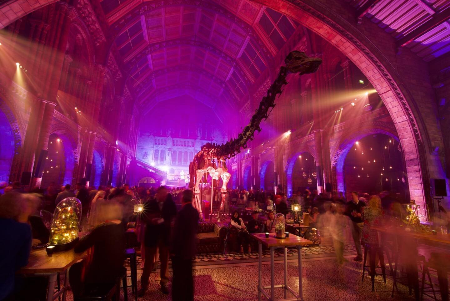 Flashback to when dinosaurs ruled the museum. #eventvideography #photography #dinosaurs #dippy