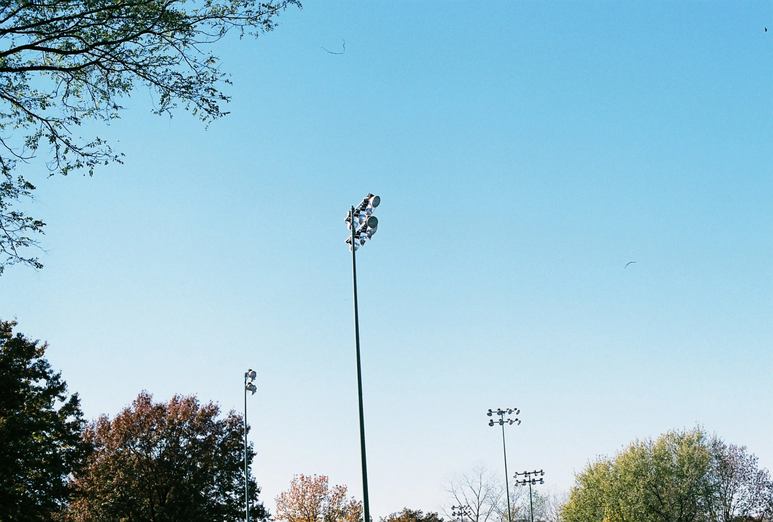 Roll1_C460857-R1-16-8A.JPG