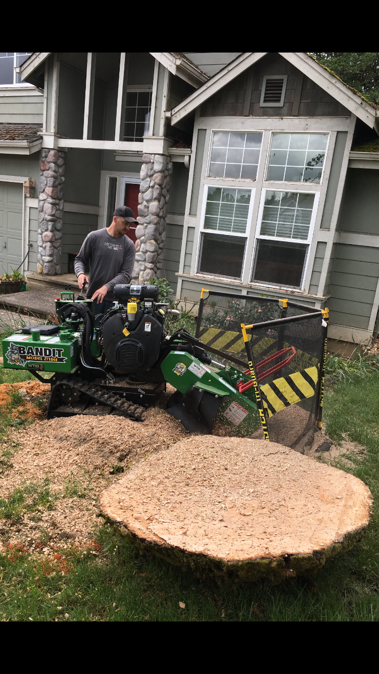 Stump Grinding
