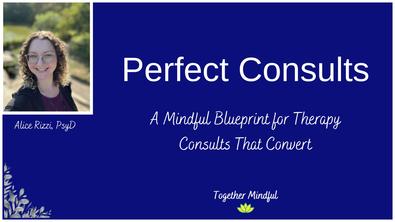Blue Banner with Dr. Alice Rizzi and Perfect Consults text in white