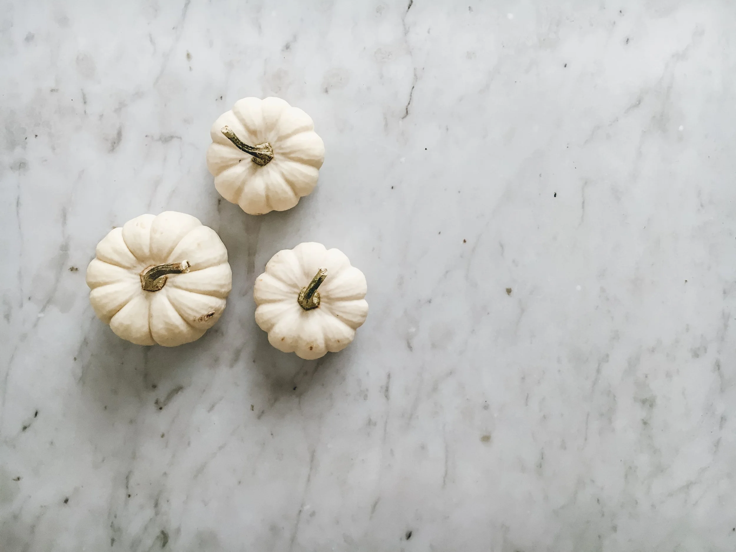 Ashley &amp; Kayla's October Favorites