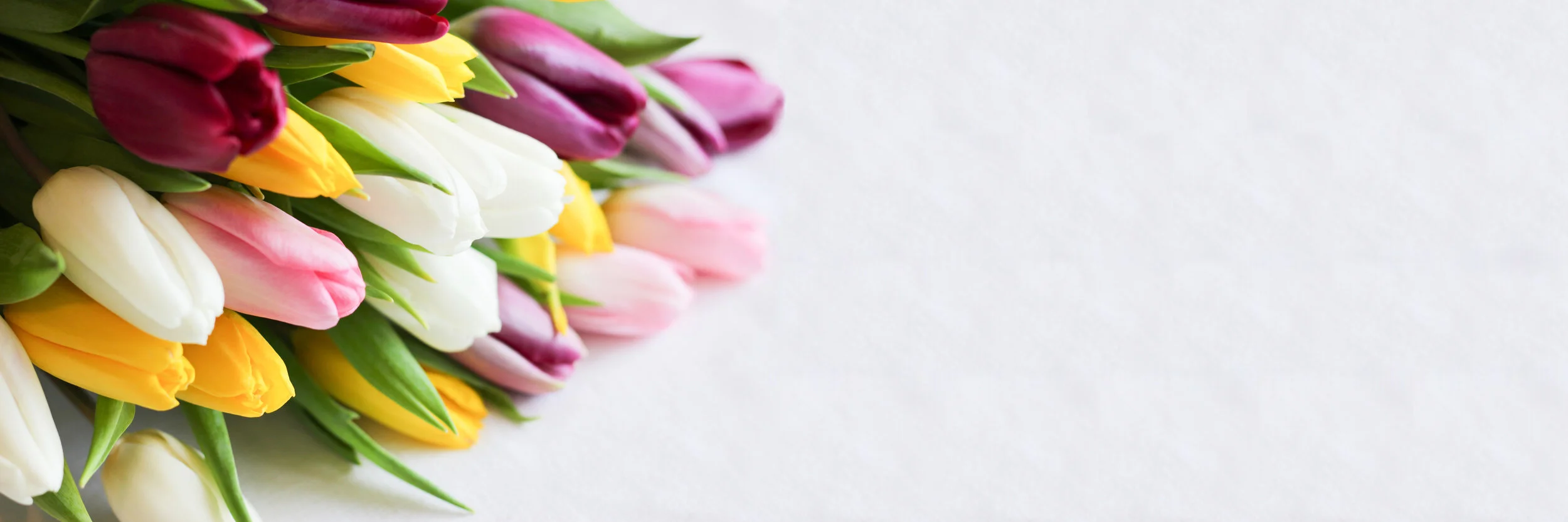 Ashley &amp; Kayla's March Favorites 