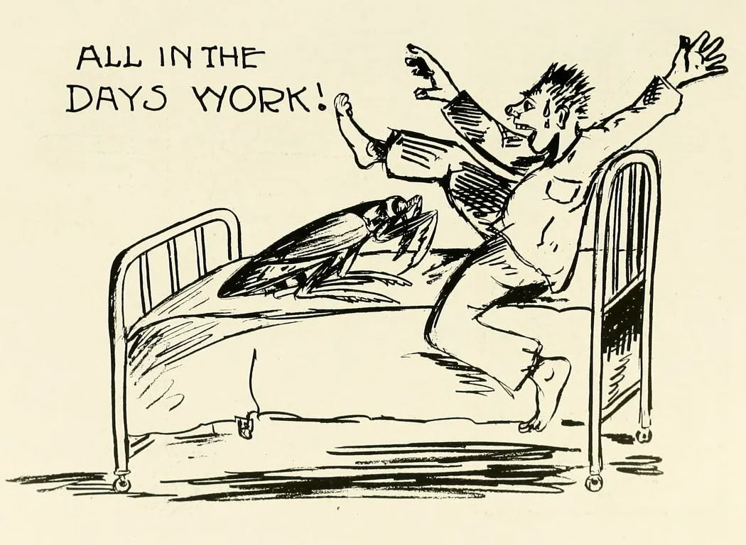 Excerpts from my Unwritten Memoir: Chores. Cockroaches.