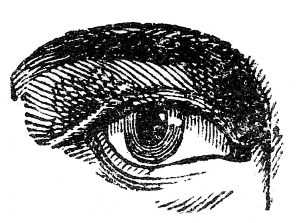 The Exhibit Logo.jpg