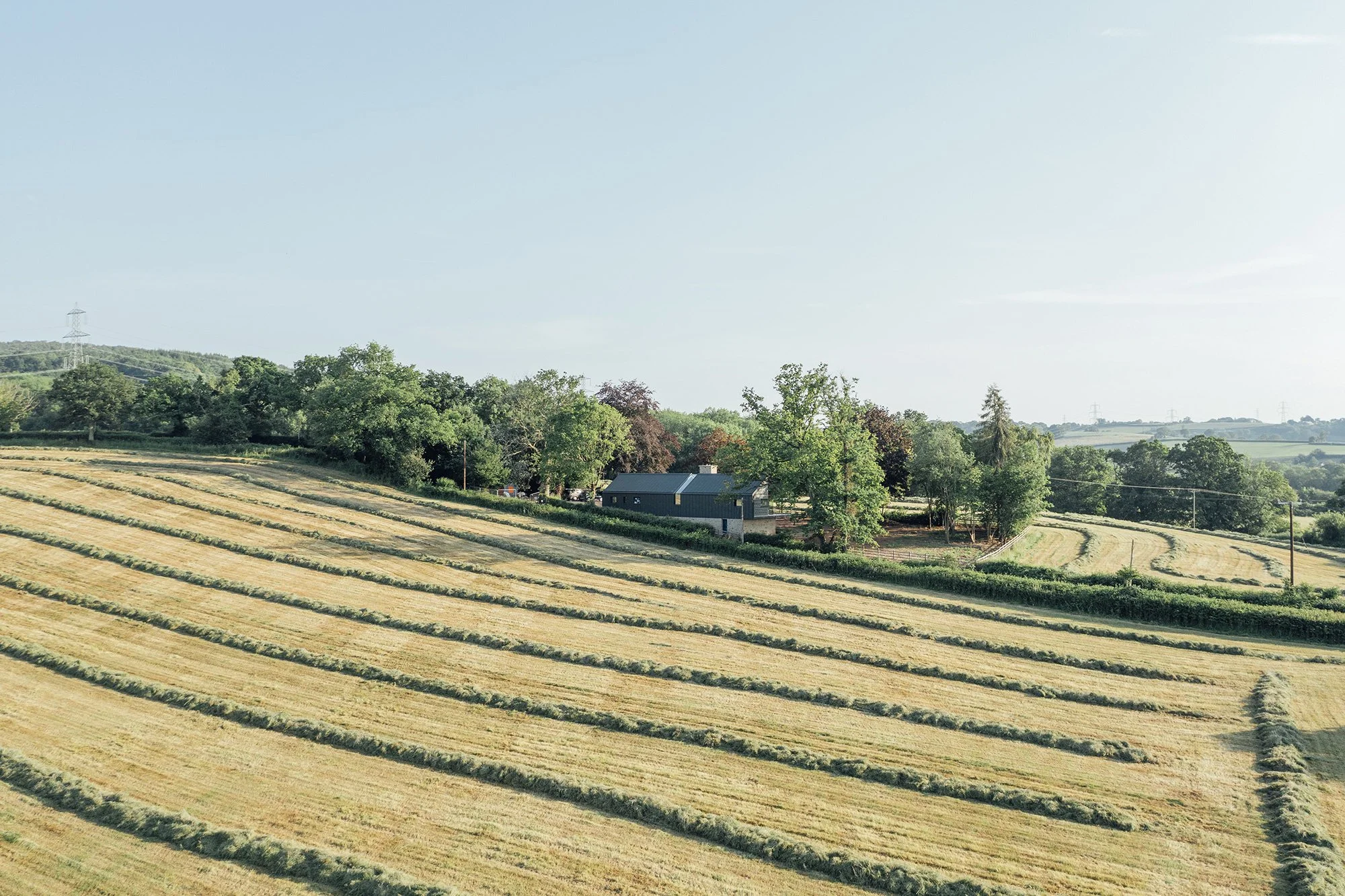 [WEB] Cysgod y Coed_14062023-20.jpg