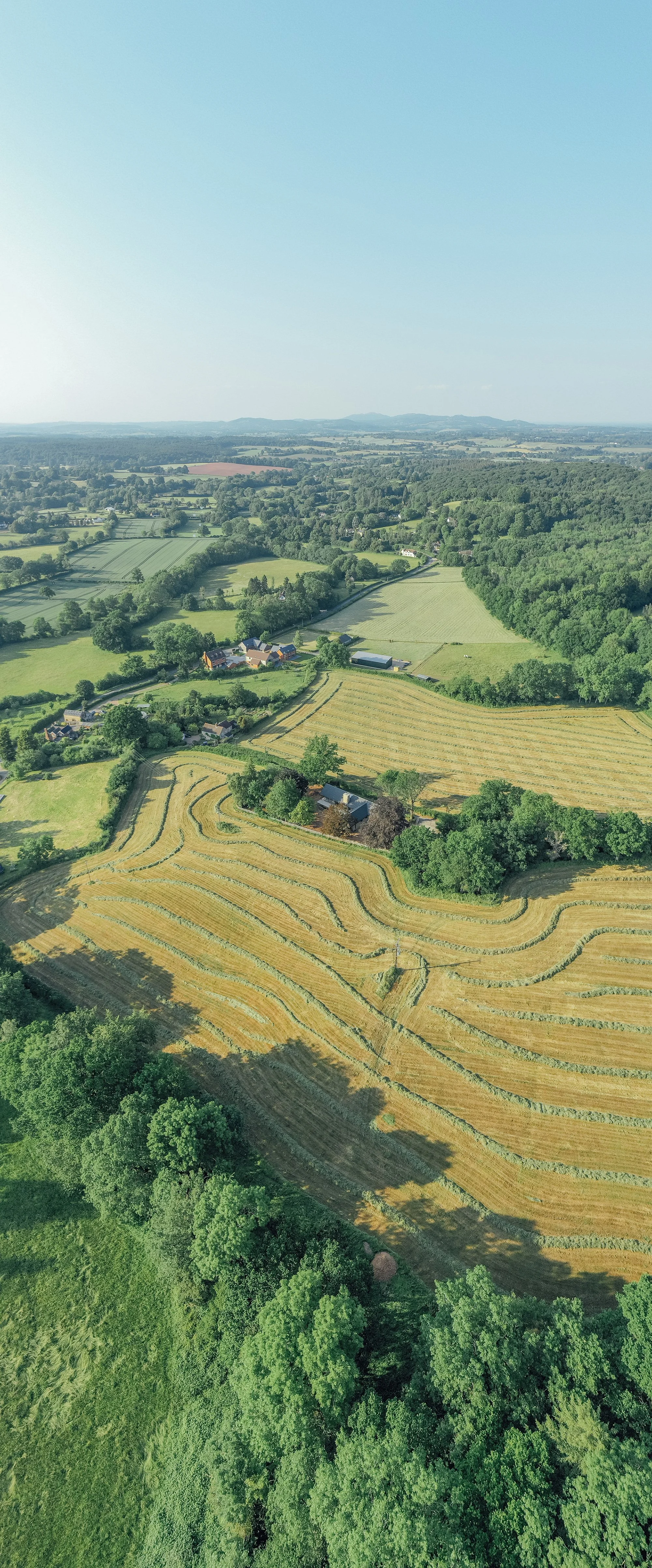 [WEB] Cysgod y Coed_14062023-6.jpg