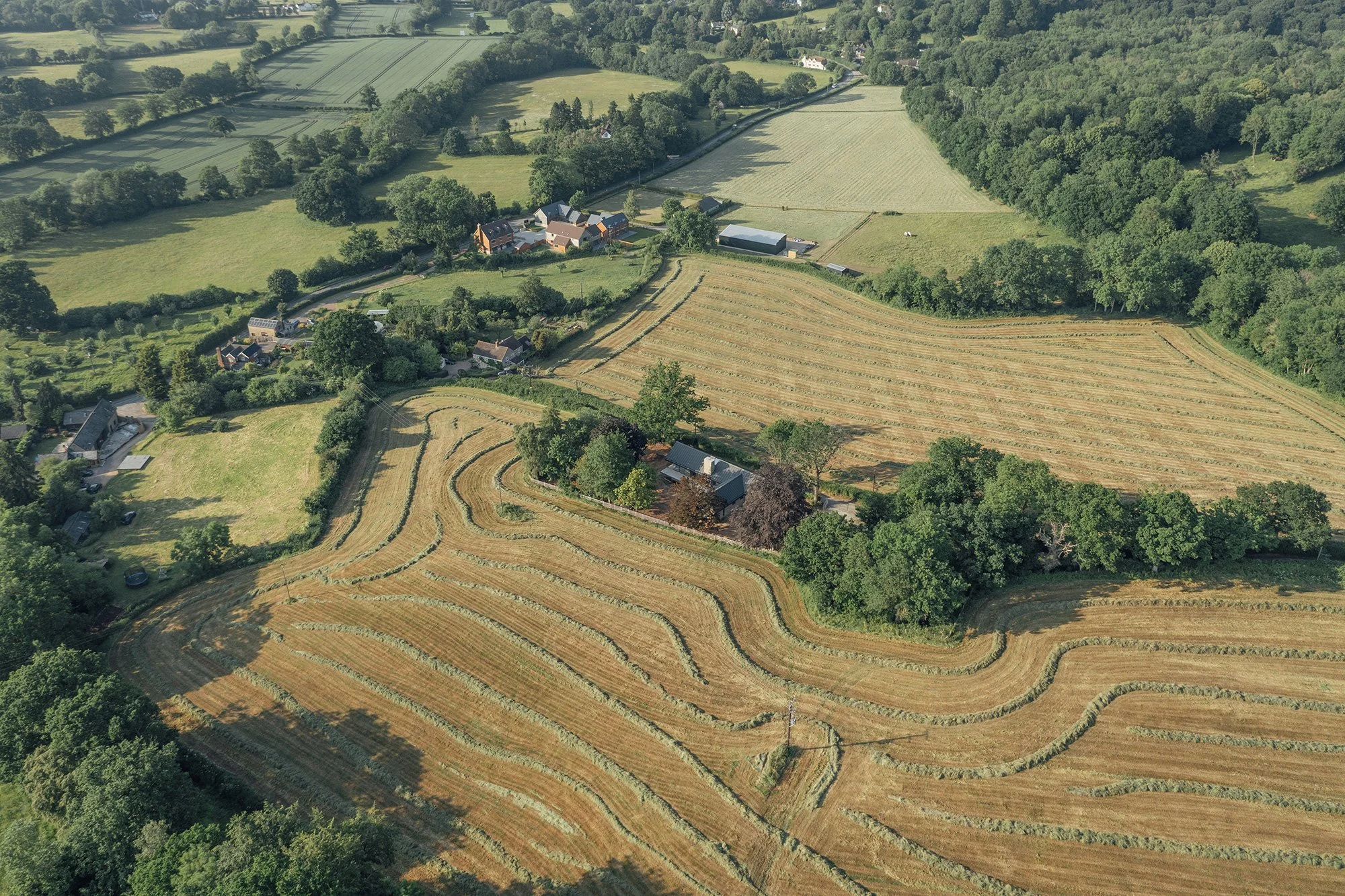 [WEB] Cysgod y Coed_14062023-5.jpg