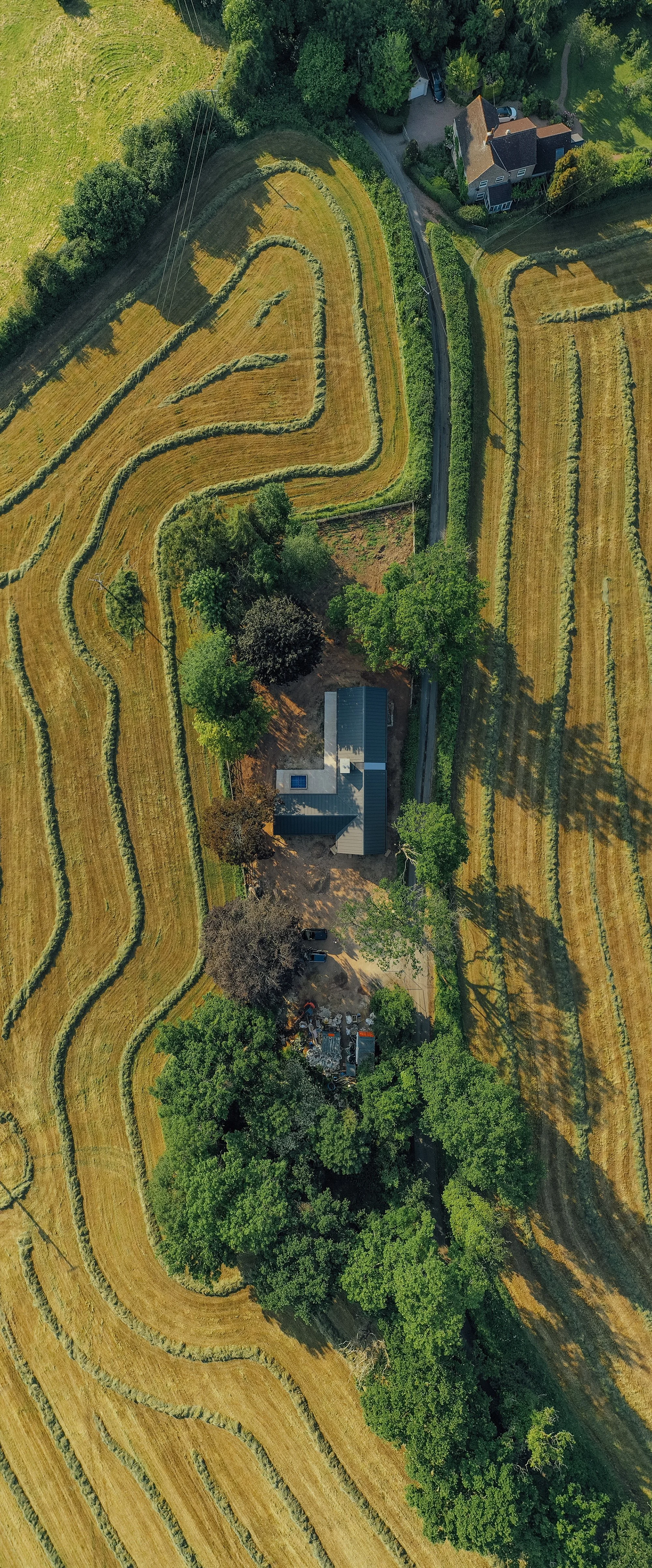 [WEB] Cysgod y Coed_14062023-1.jpg