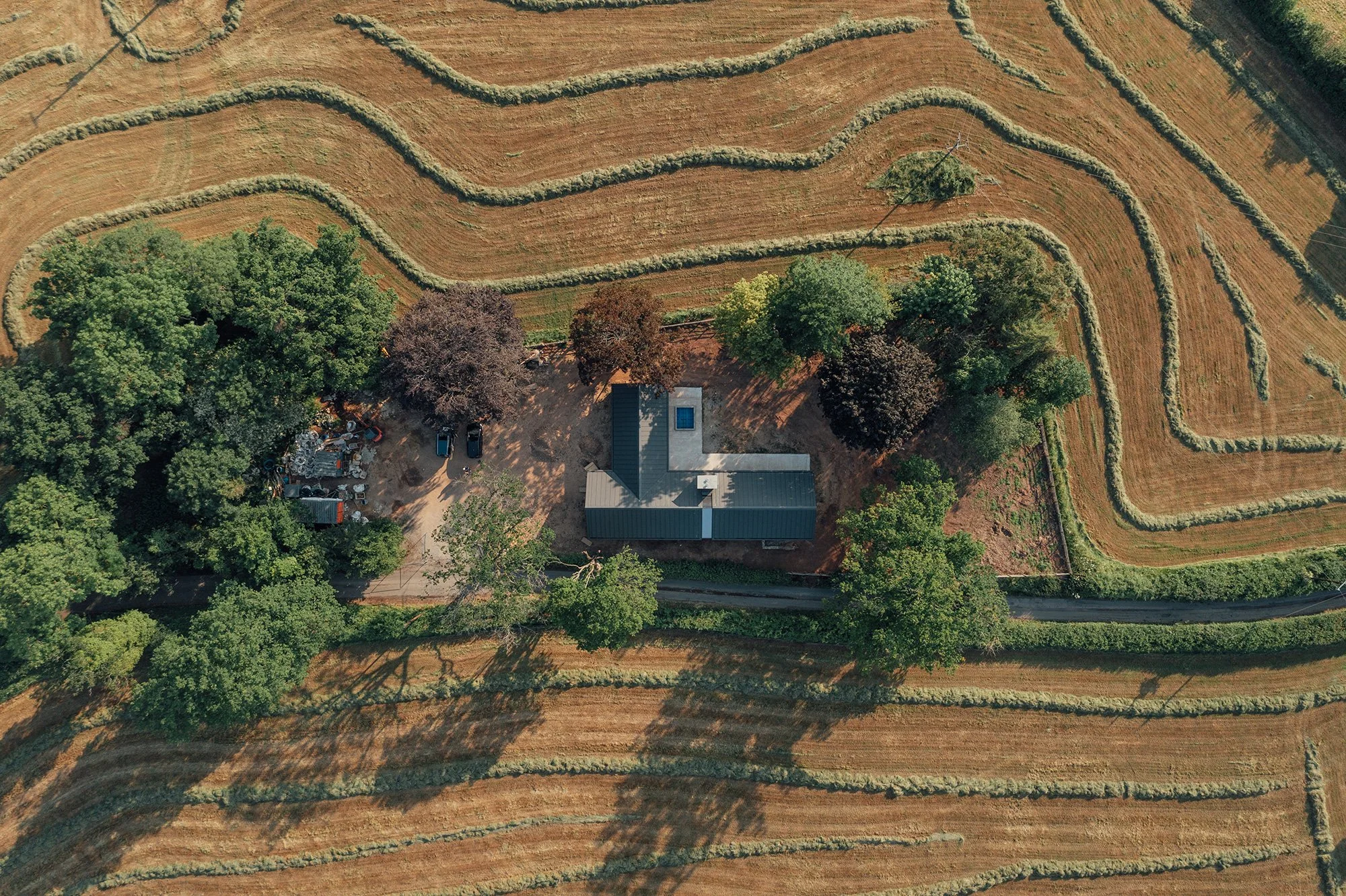 [WEB] Cysgod y Coed_14062023-2.jpg