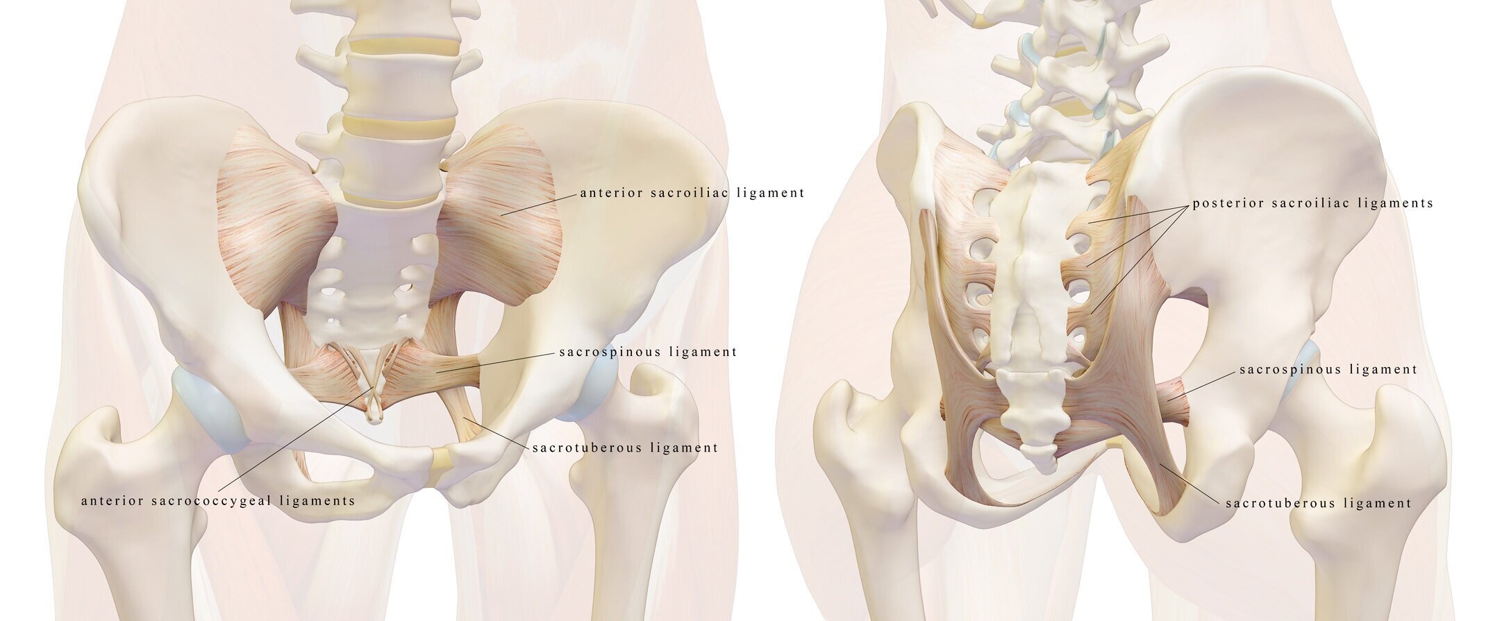 Reduce Low Back and Sacroiliac pain with these Toning Exercises