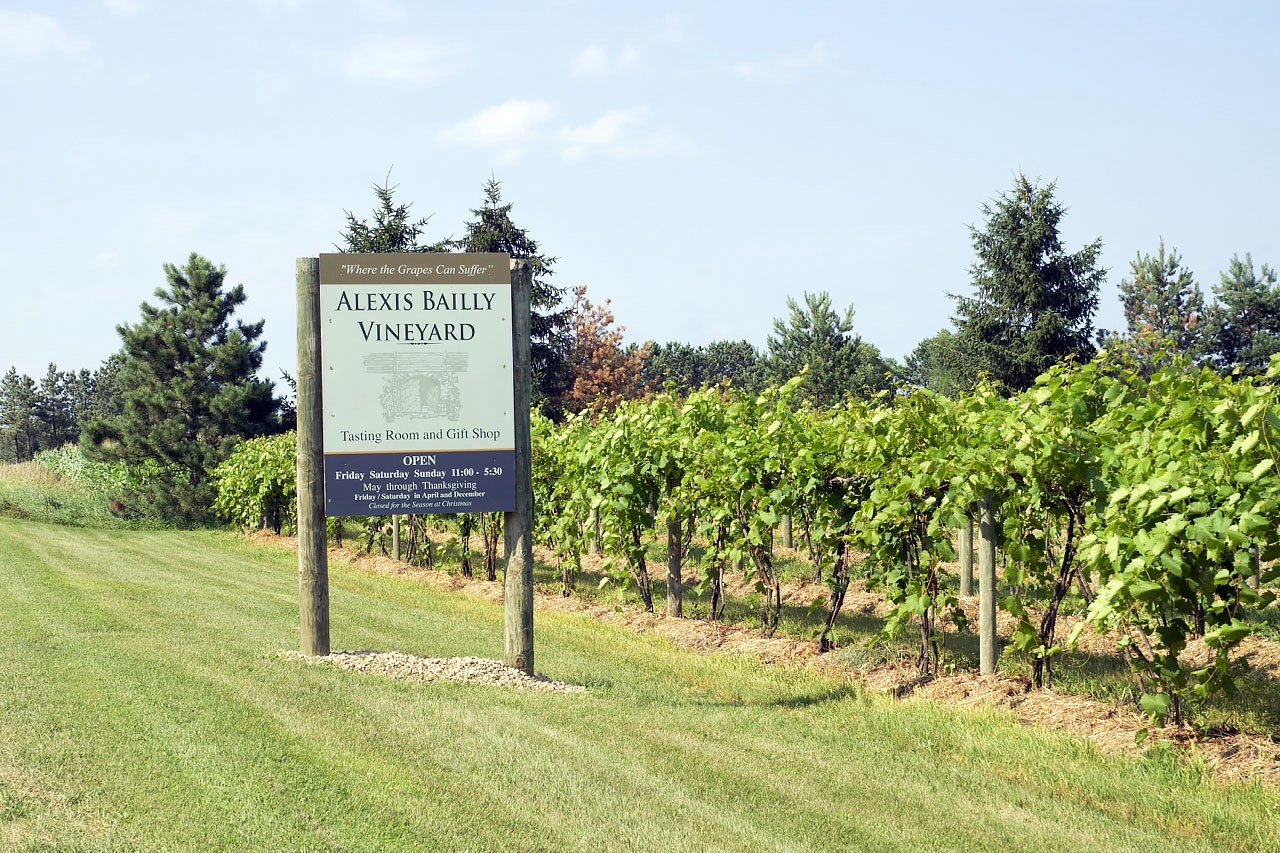 Alexis Bailly Vineyard