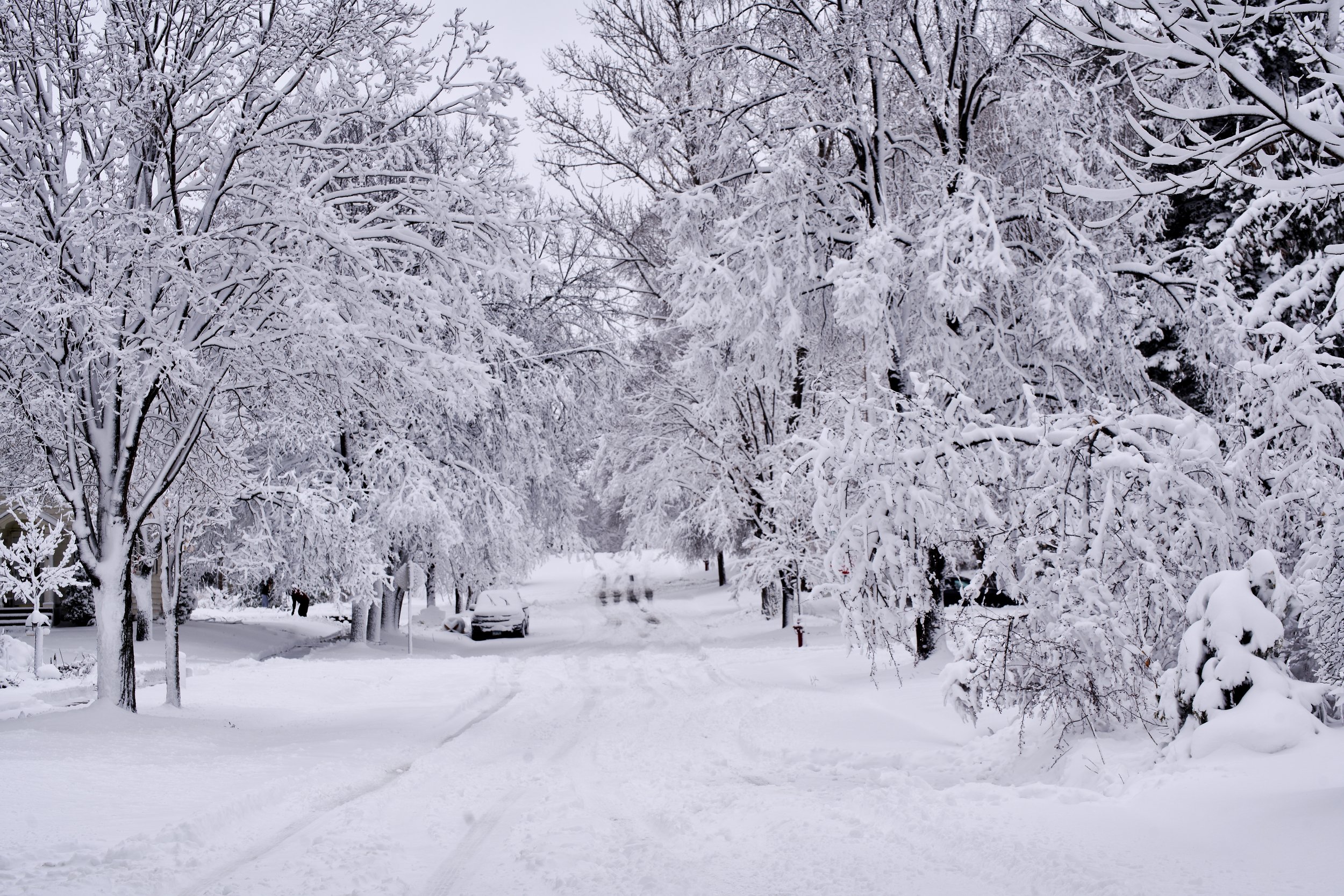 March 5th Snowstorm