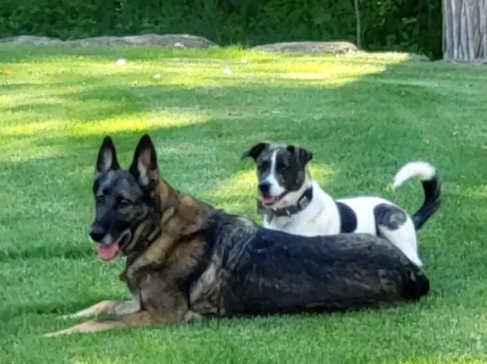 Bailey and Willy 09.jpg