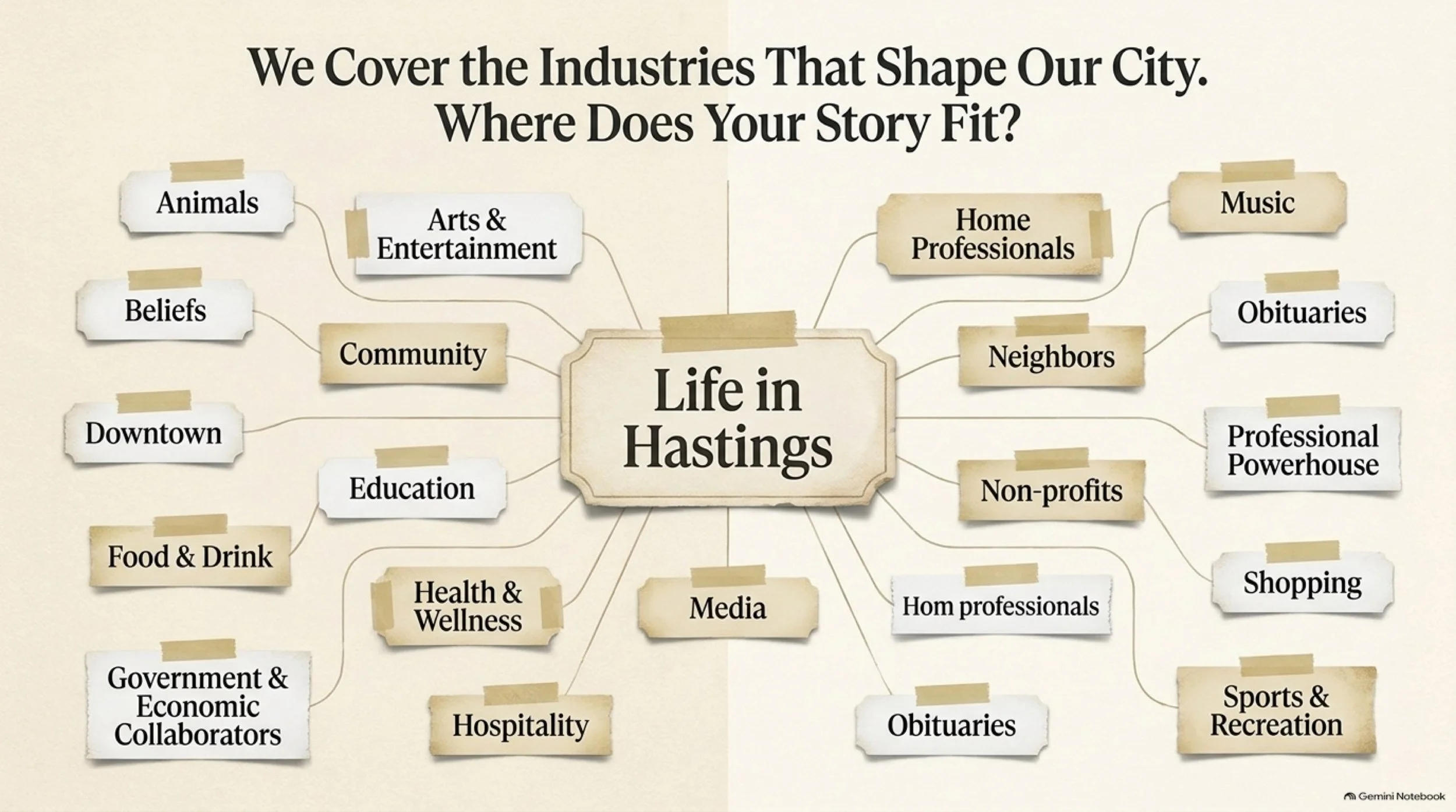 HastingsNow_Business_Storytelling 3.jpeg
