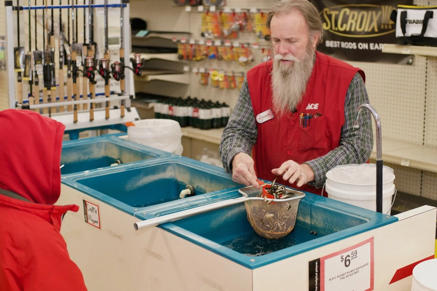 We've got minnows here at Hometown Ace Hardware, so