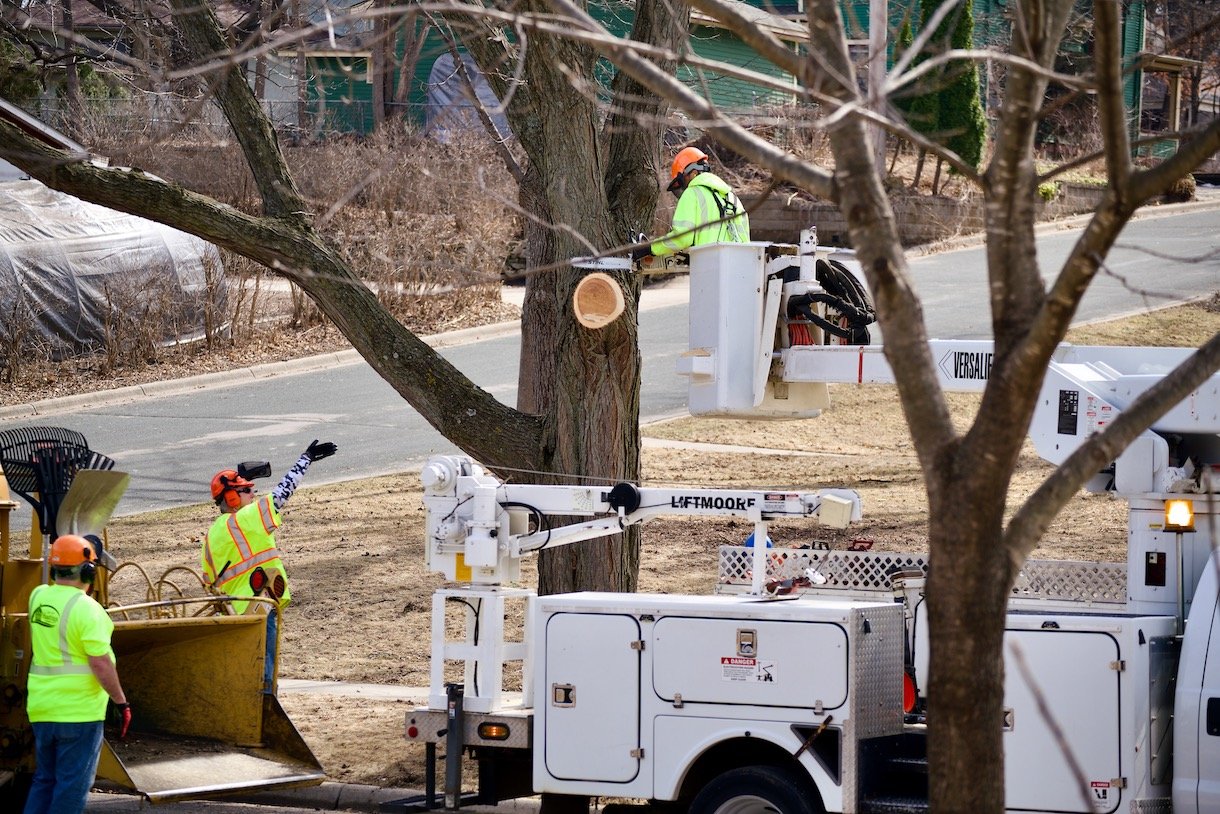 March 14th Spring Clean Up