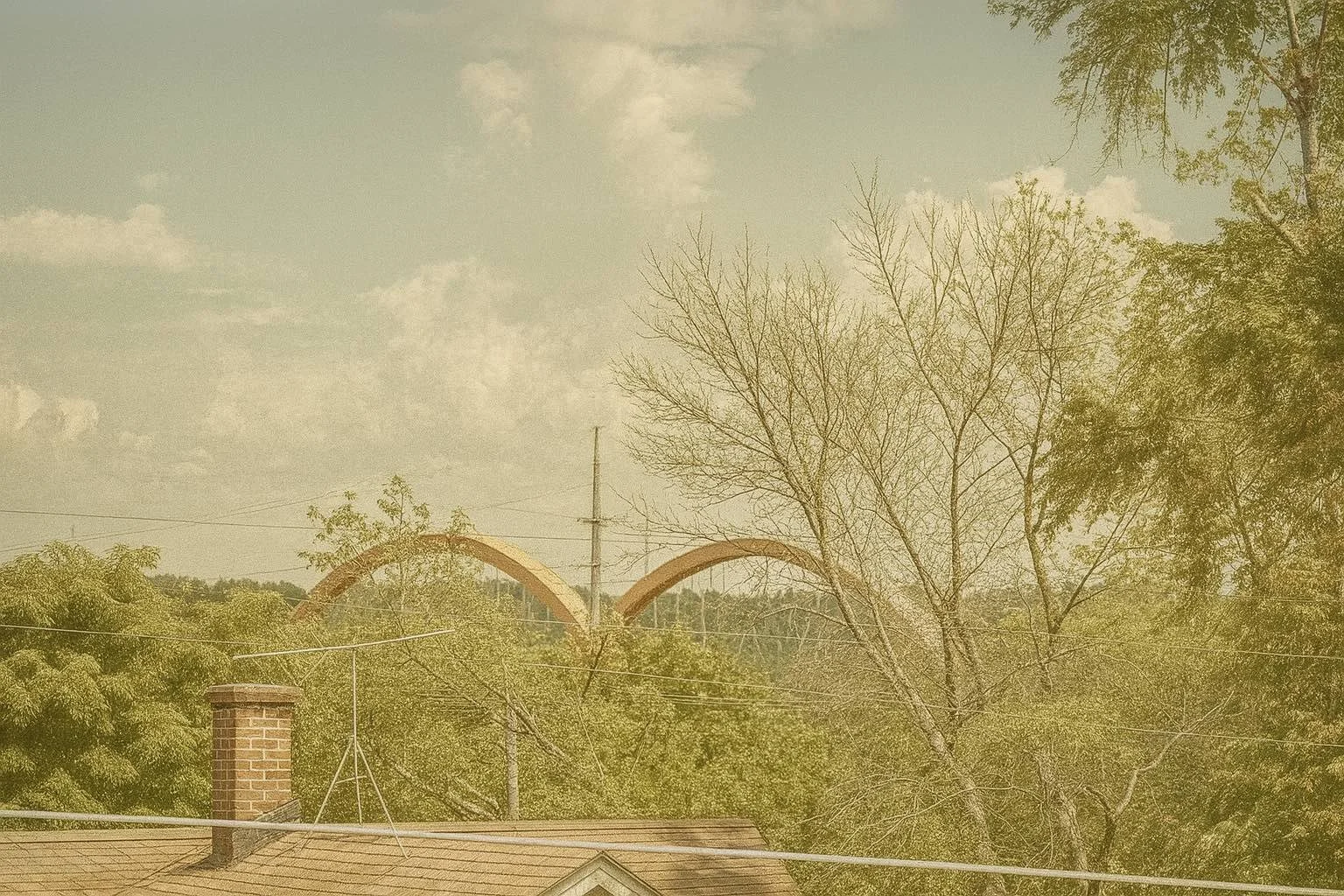 Green Innovation in Hastings: Sustainable Practices for a Digital Age| Ep.06