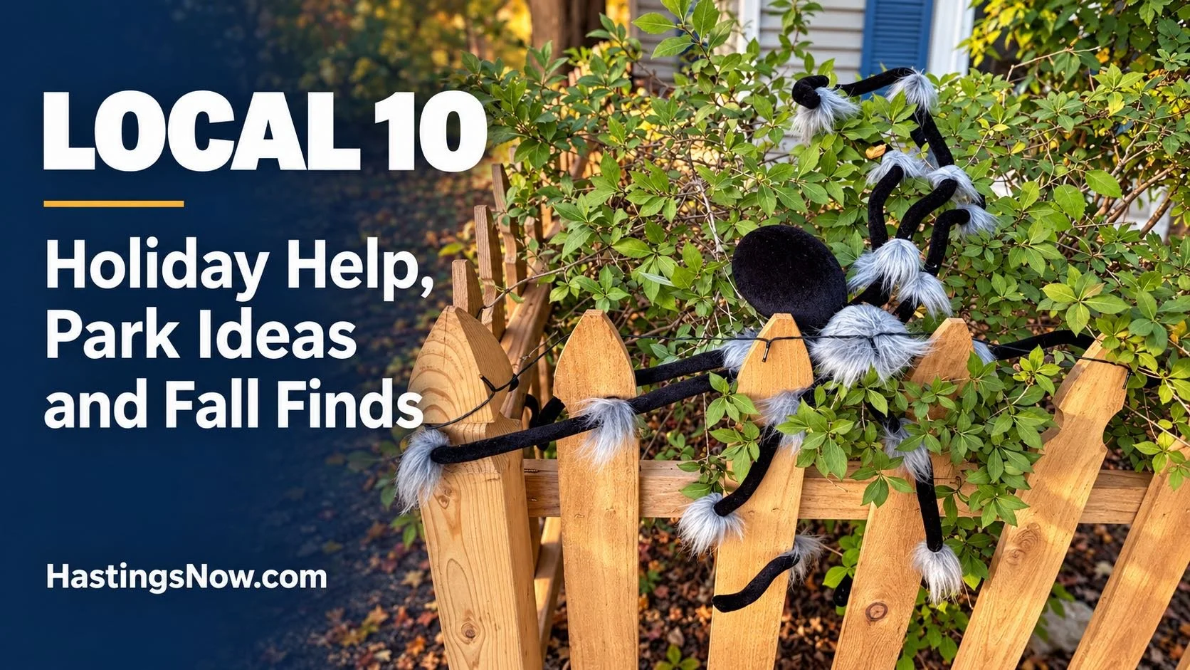 LOCAL 10: Holiday Help, Park Ideas and Fall Finds